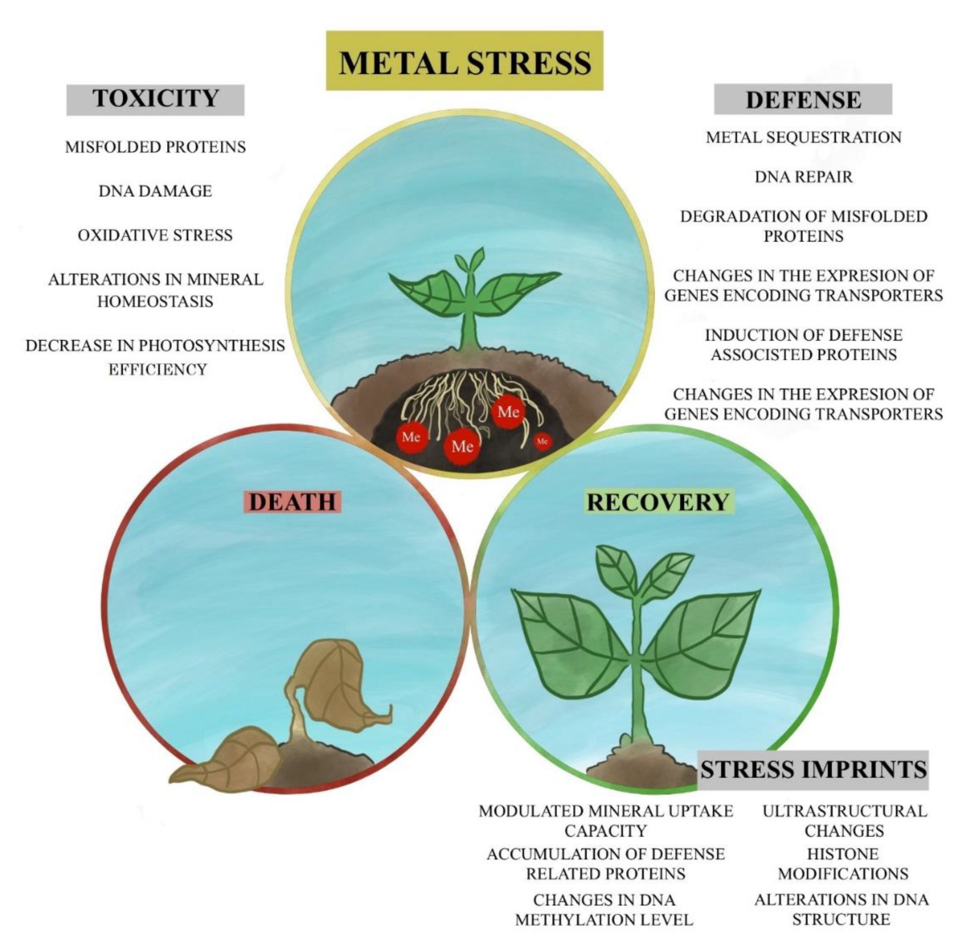 Plants 10 00450 g001