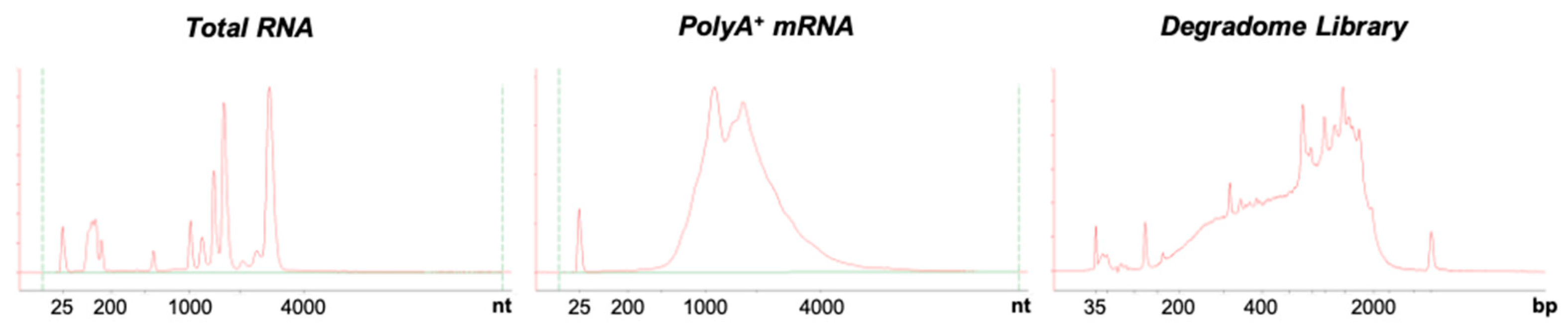 Plants 10 00466 g003