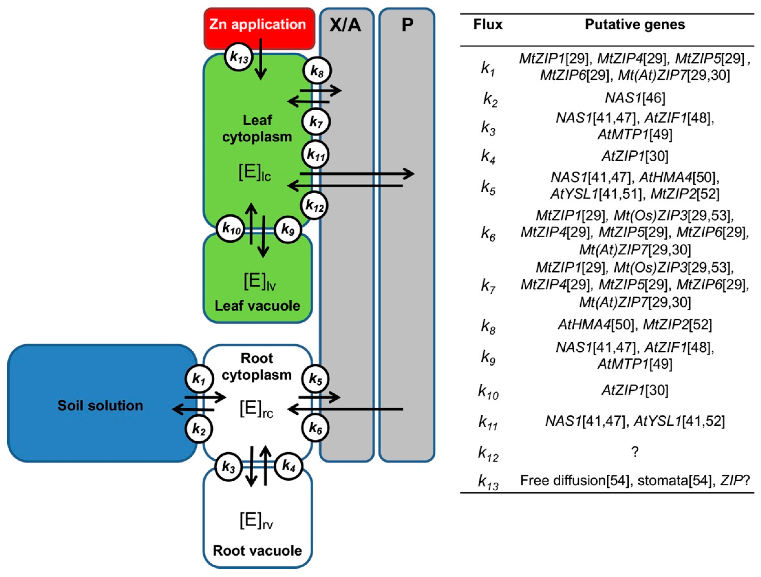Plants 10 00476 g001 Plants 10 00476 g001