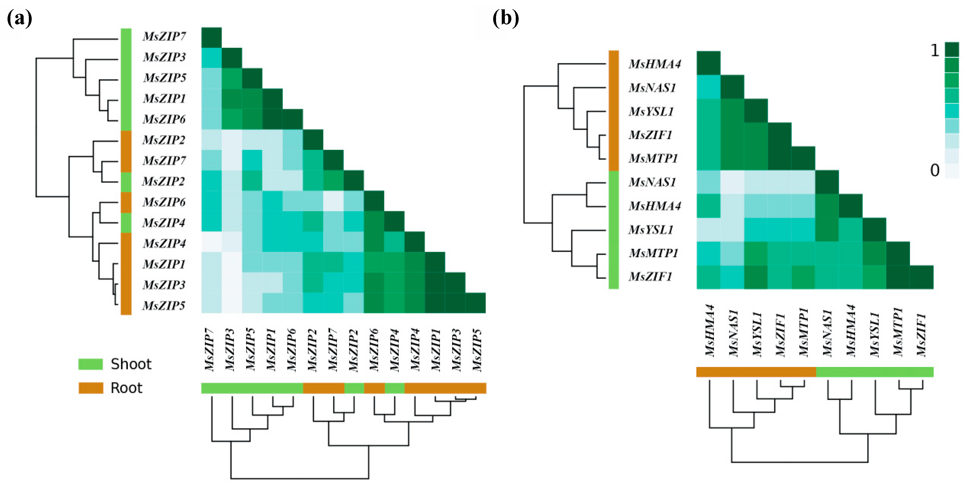 Plants 10 00476 g005 Plants 10 00476 g005