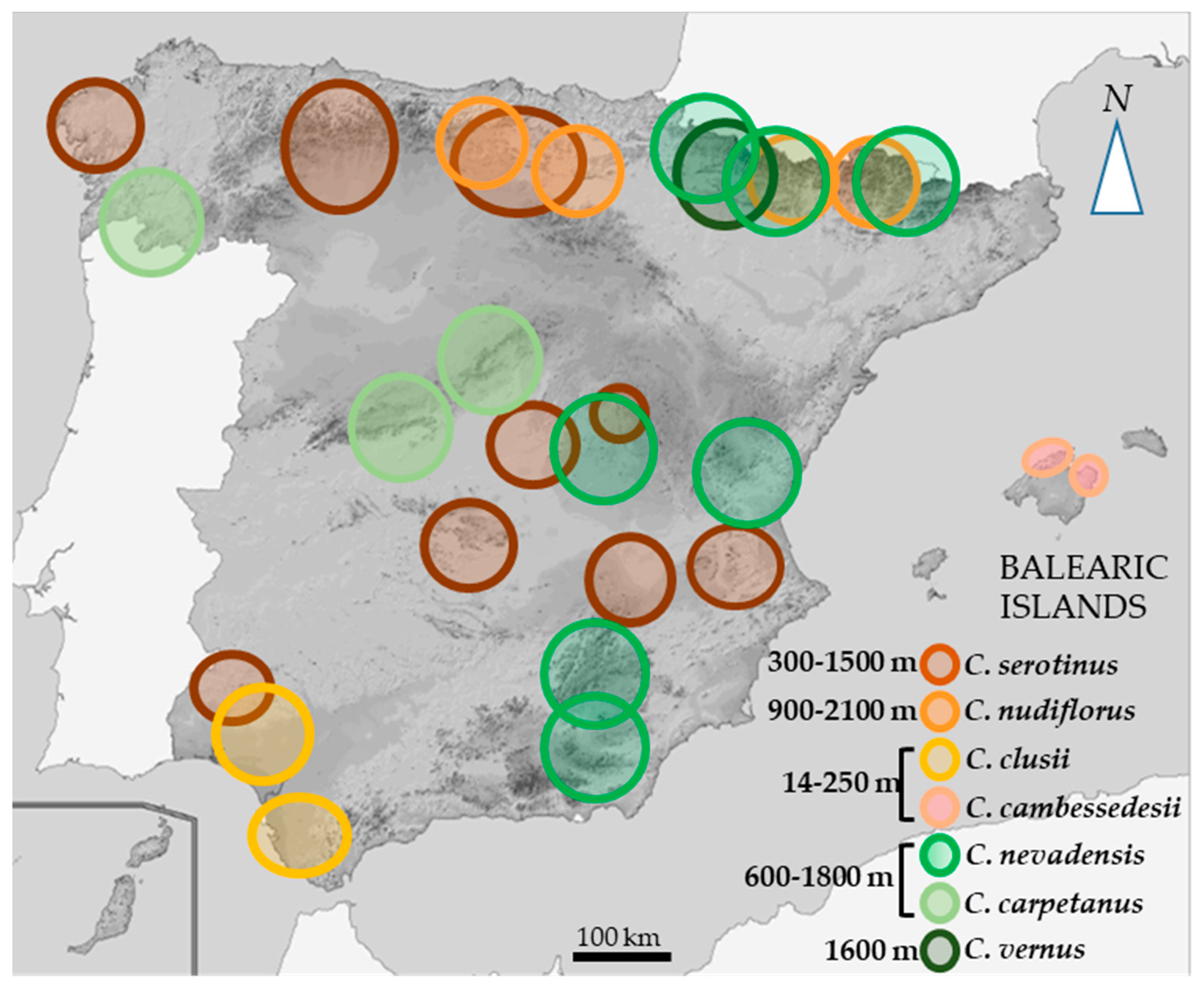 Plants 10 00477 g001
