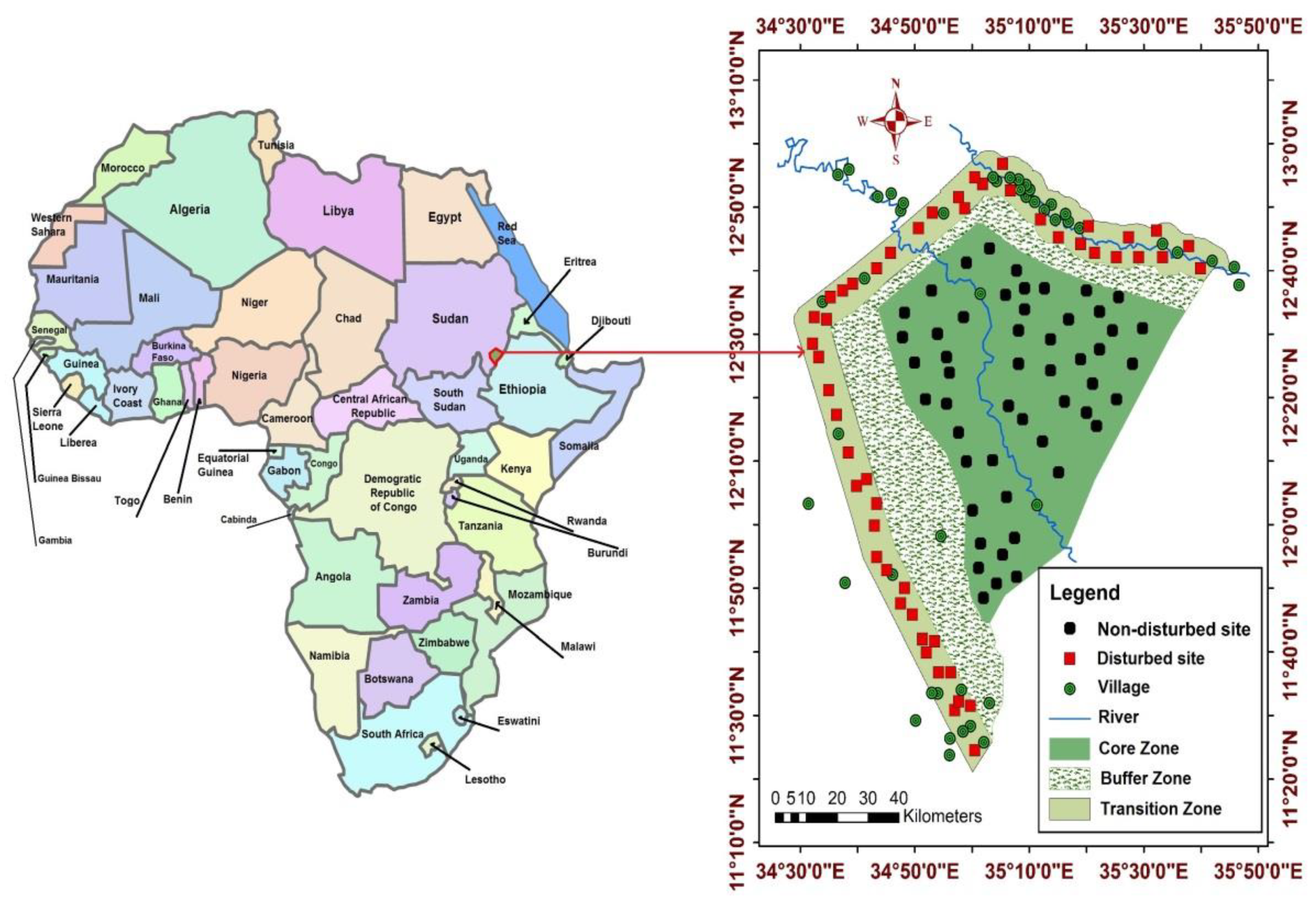 Plants 10 00483 g008 Plants 10 00483 g008