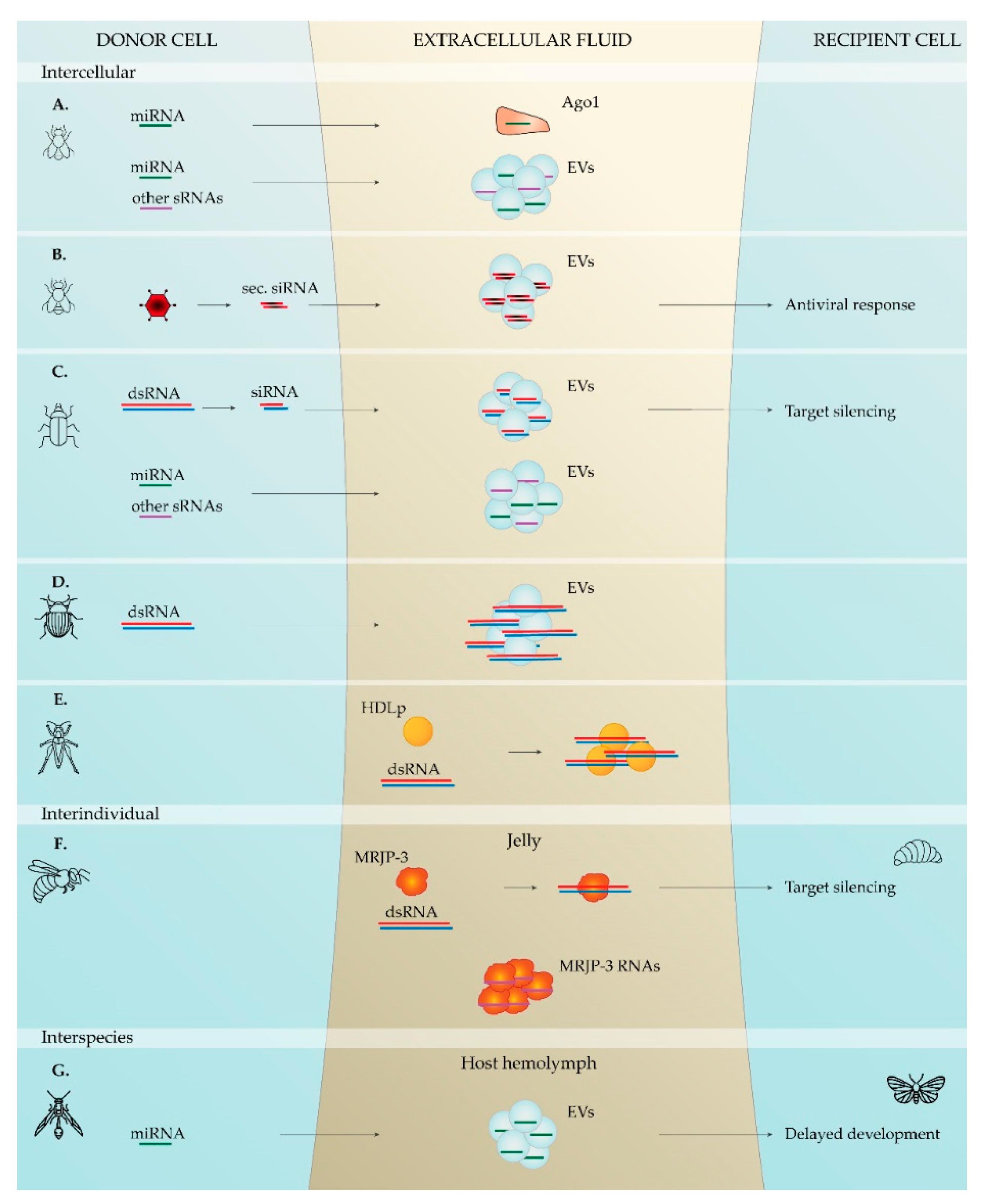 Plants 10 00484 g001