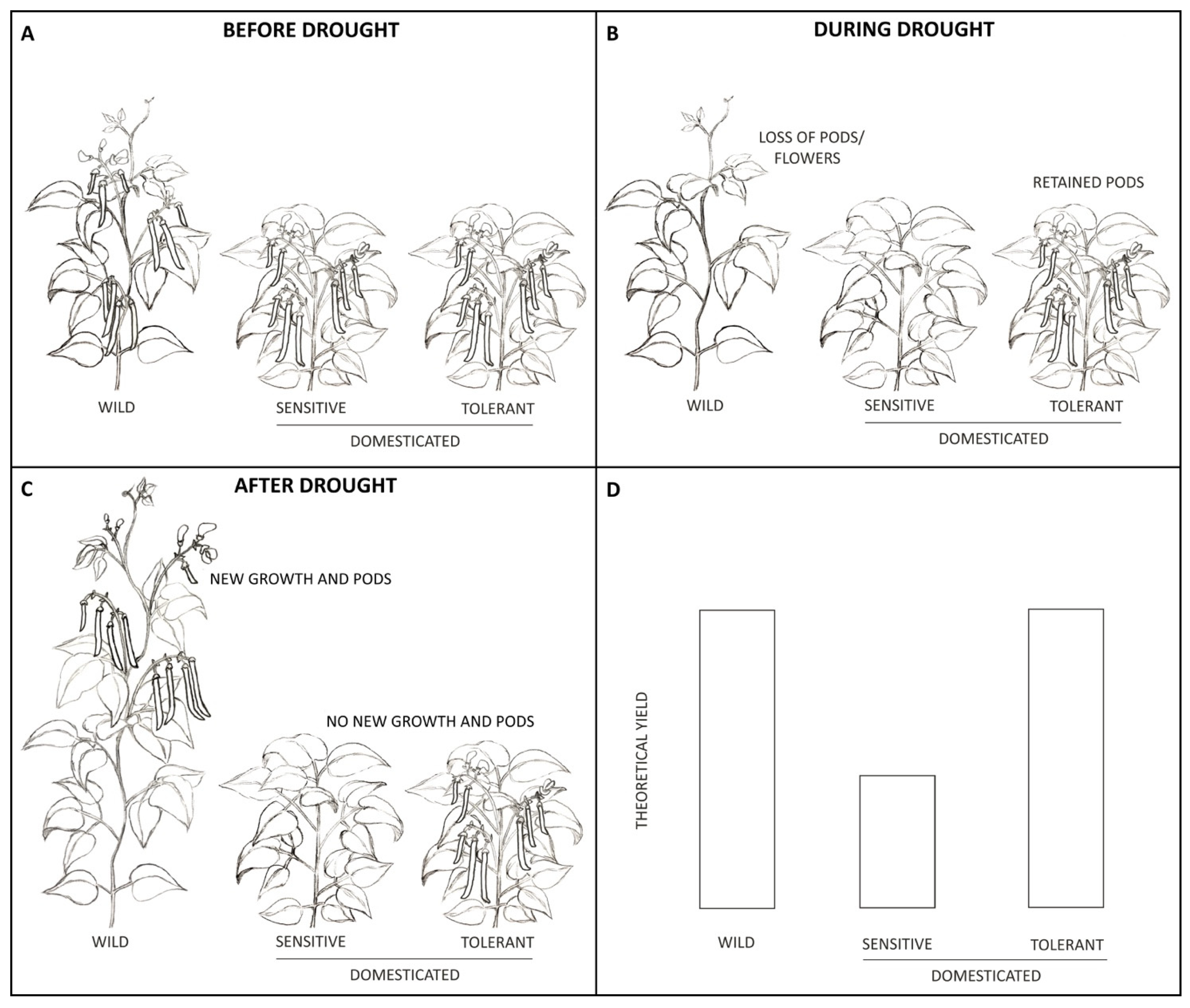 Plants 10 00489 g002