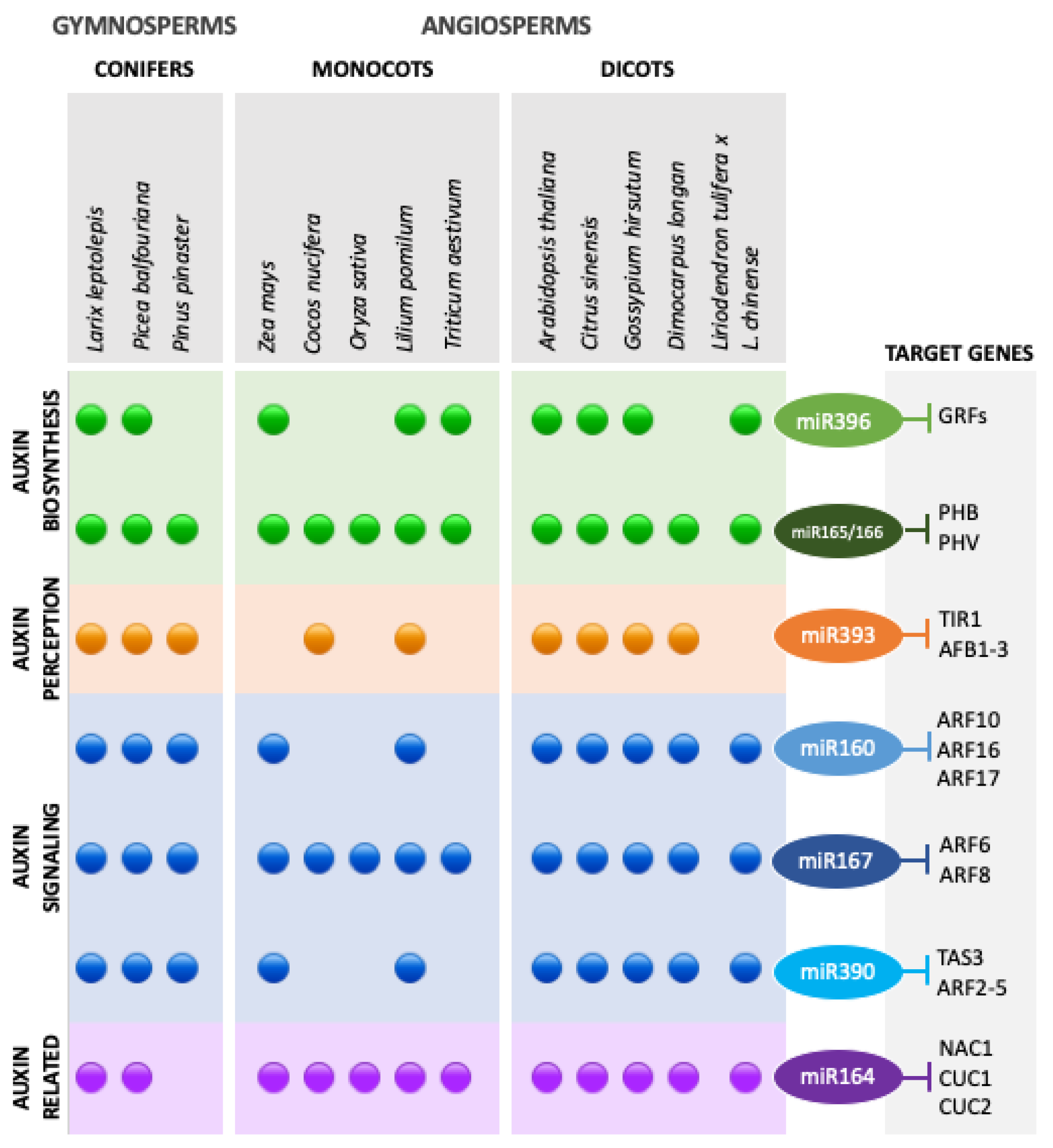 Plants 10 00504 g001