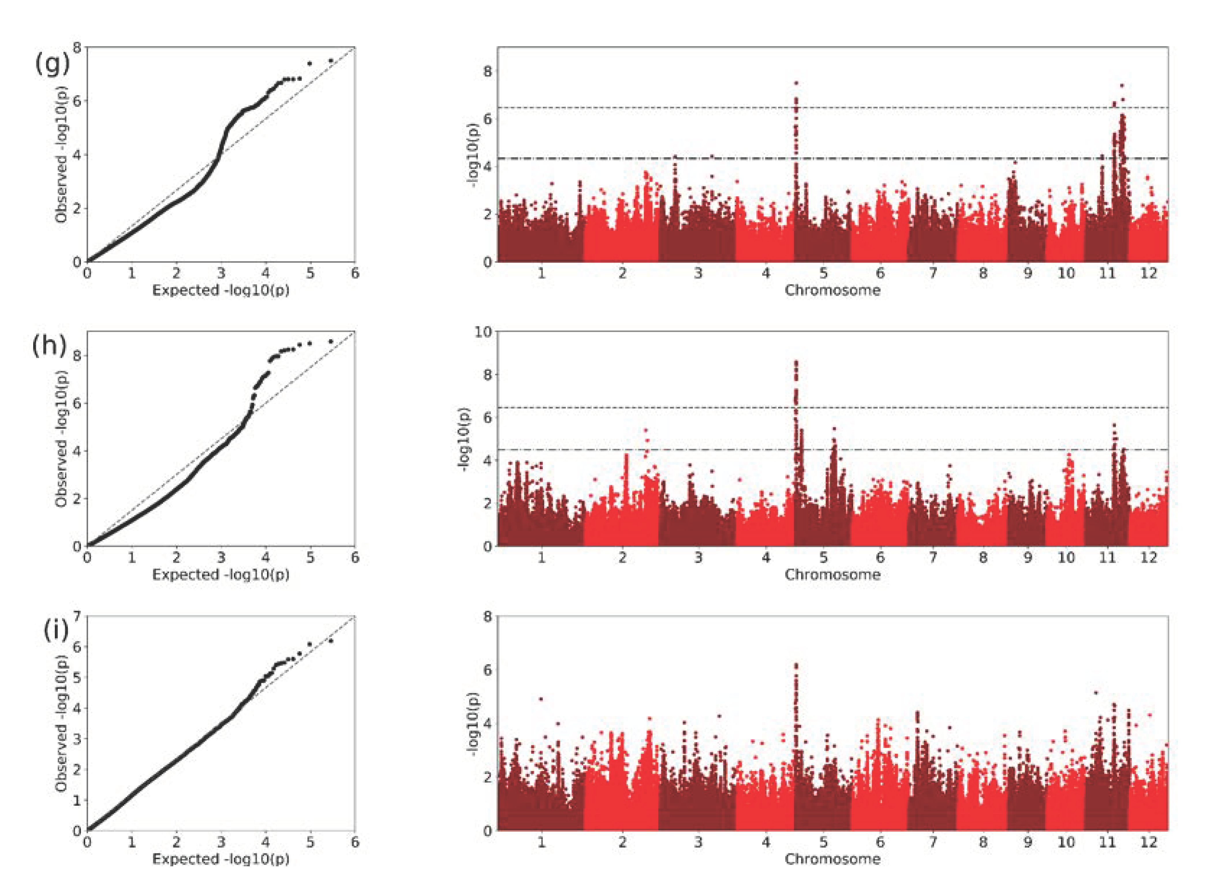 Plants 10 00518 g005b Plants 10 00518 g005b