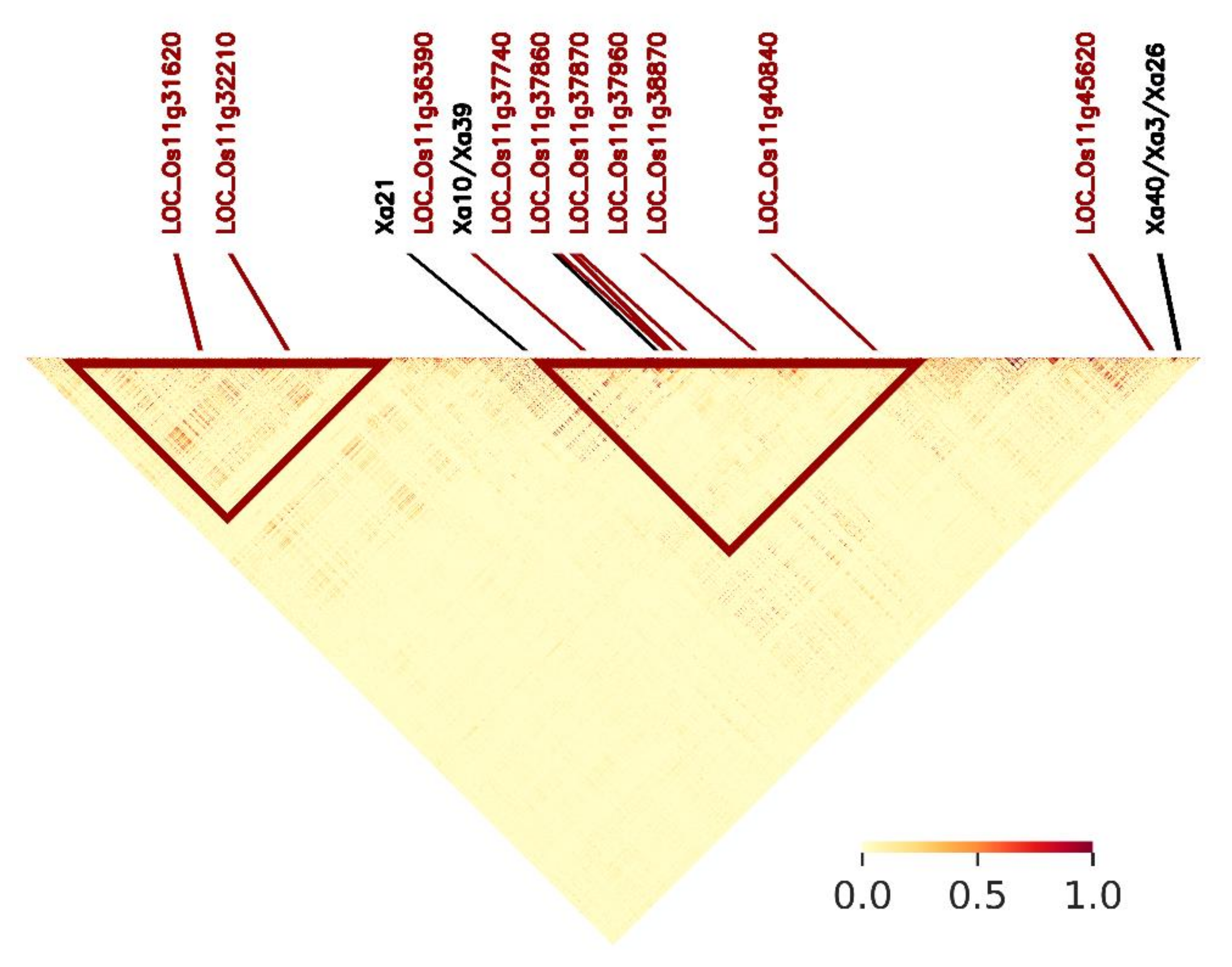 Plants 10 00518 g006 Plants 10 00518 g006