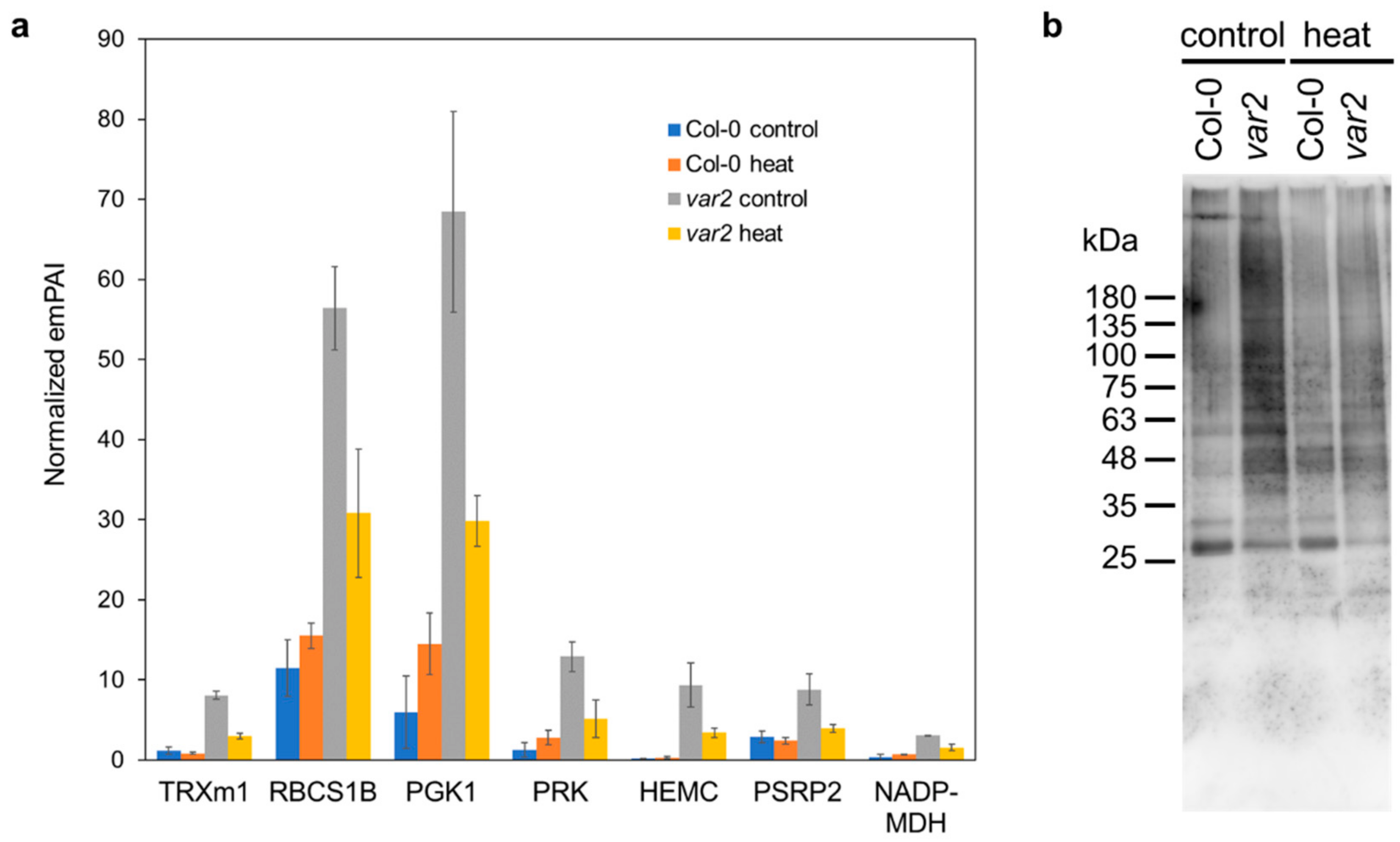 Plants 10 00519 g003