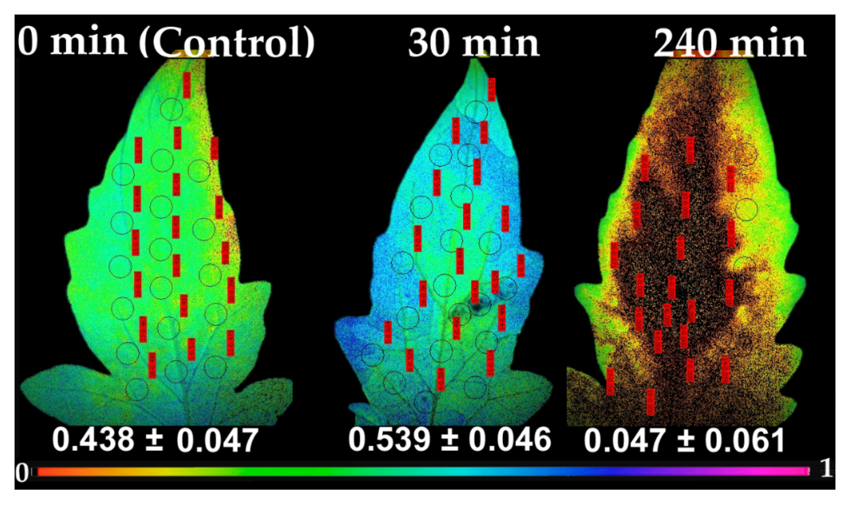 Plants 10 00521 g007