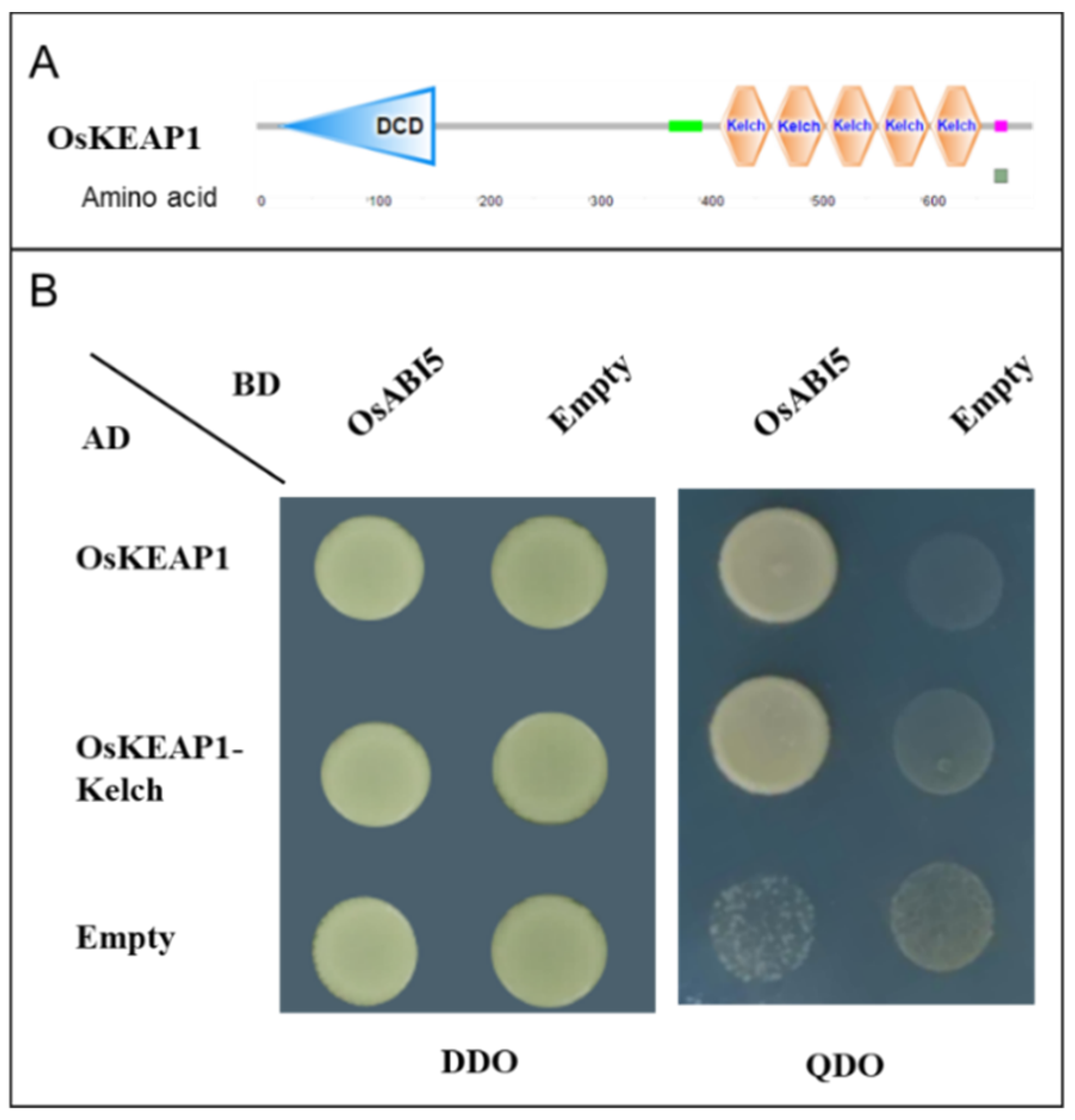 Plants 10 00527 g001 Plants 10 00527 g001