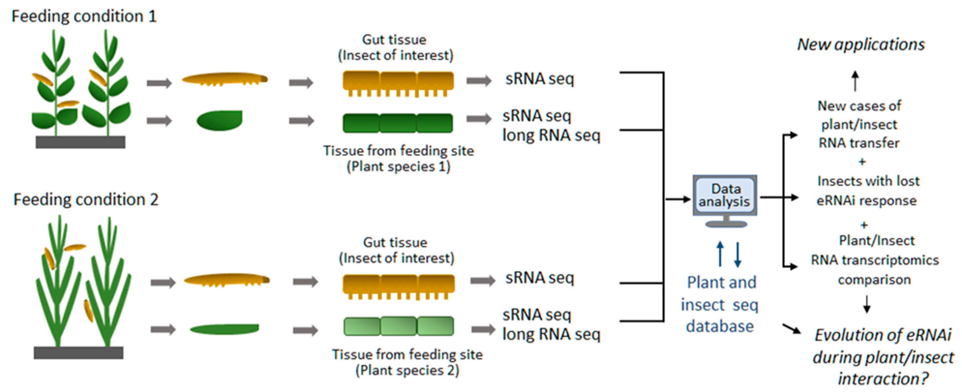 Plants 10 00532 g002 Plants 10 00532 g002