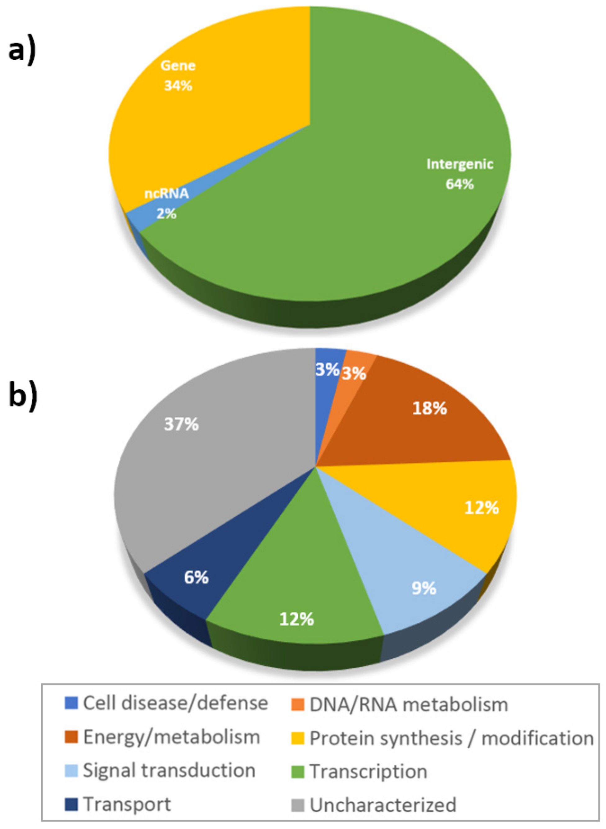 Plants 10 00539 g002