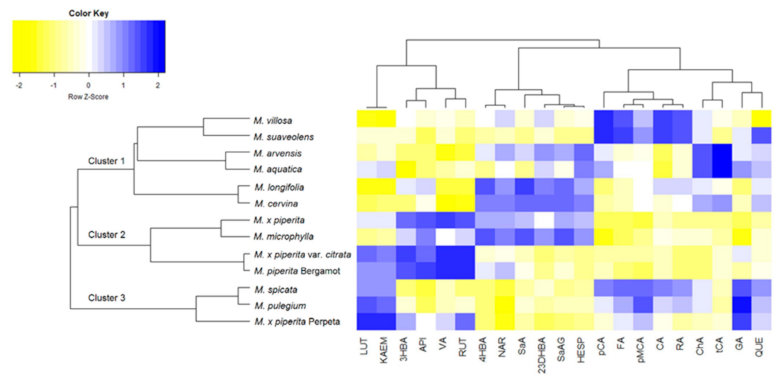 Plants 10 00550 g002