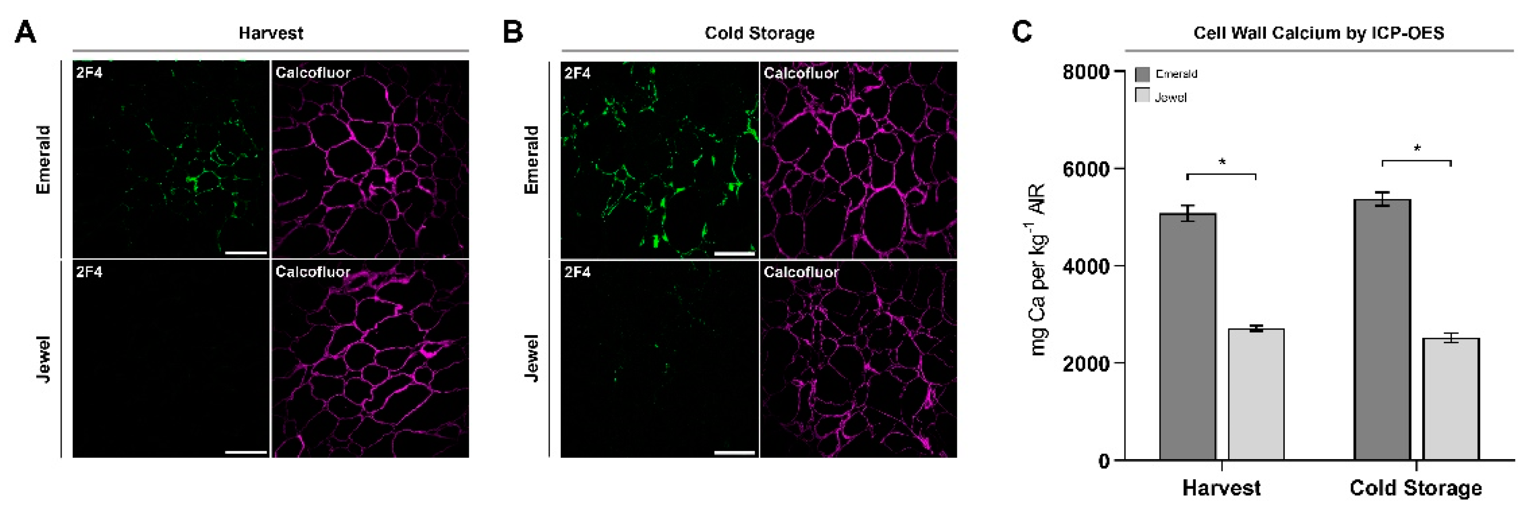Plants 10 00553 g005