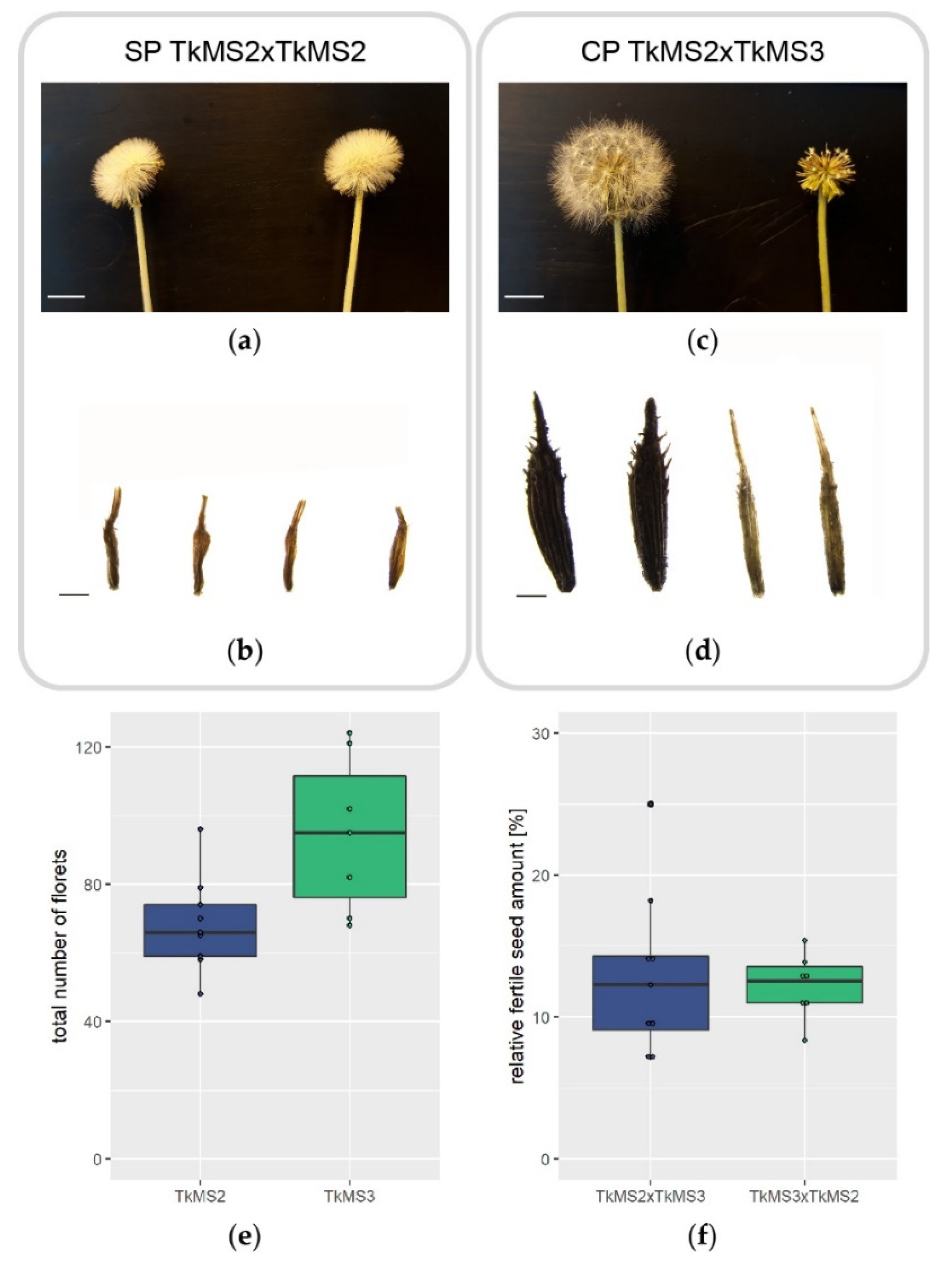 Plants 10 00555 g001 Plants 10 00555 g001