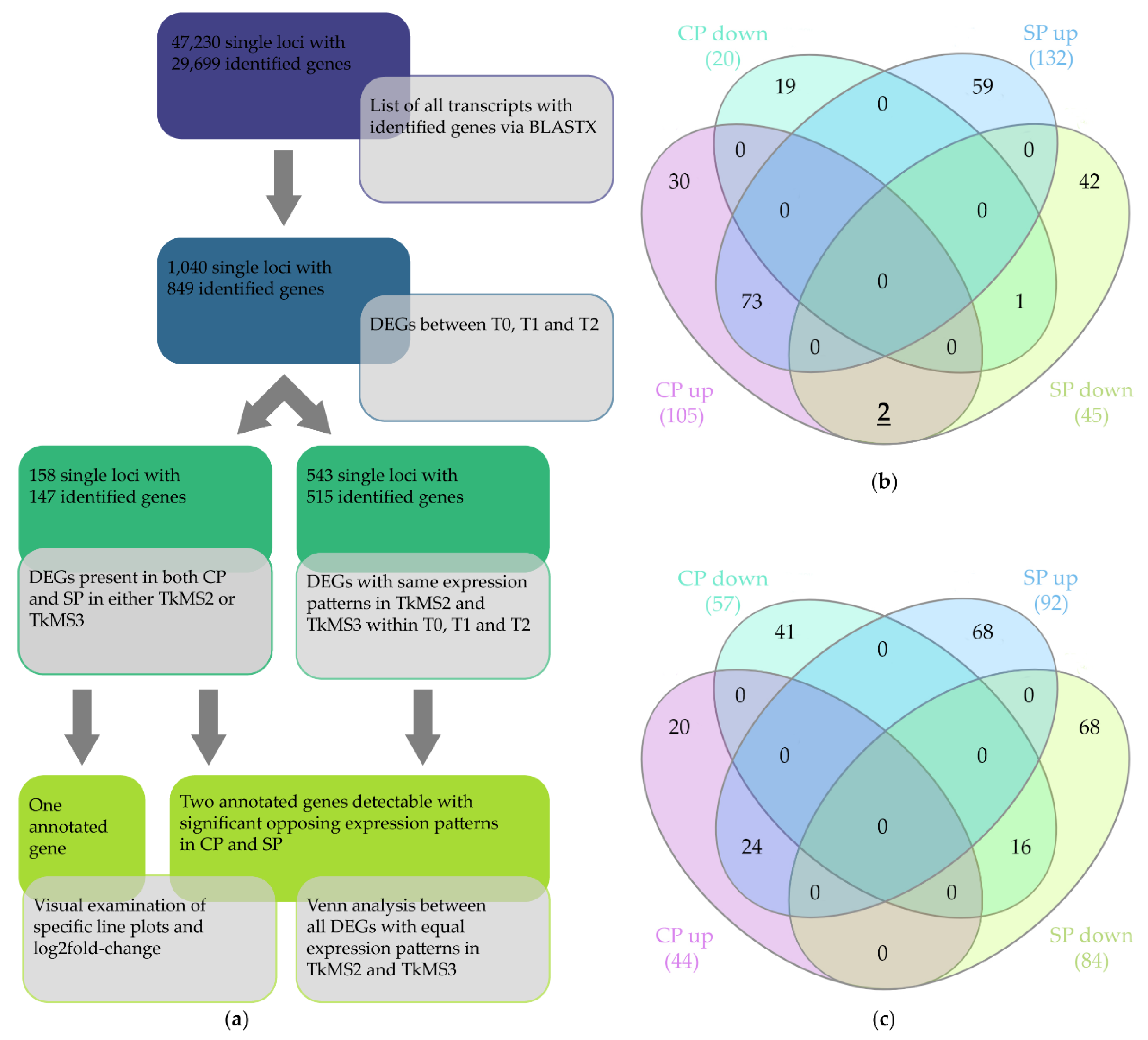 Plants 10 00555 g003 Plants 10 00555 g003