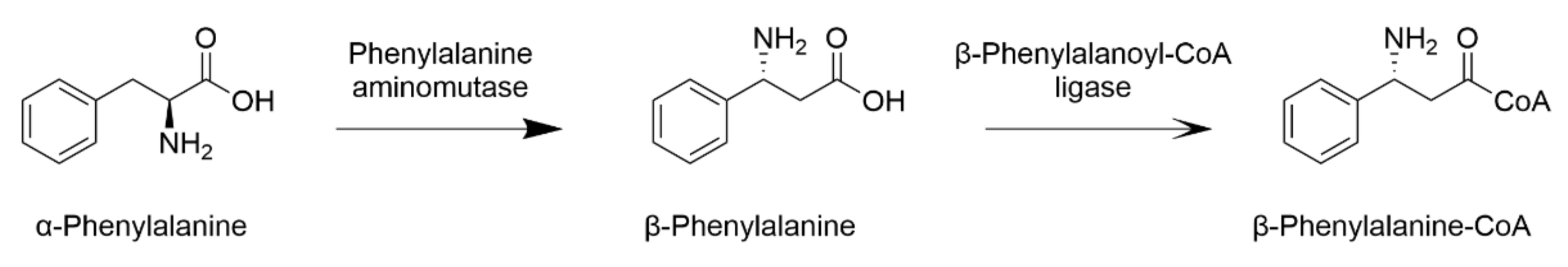 Plants 10 00569 g006
