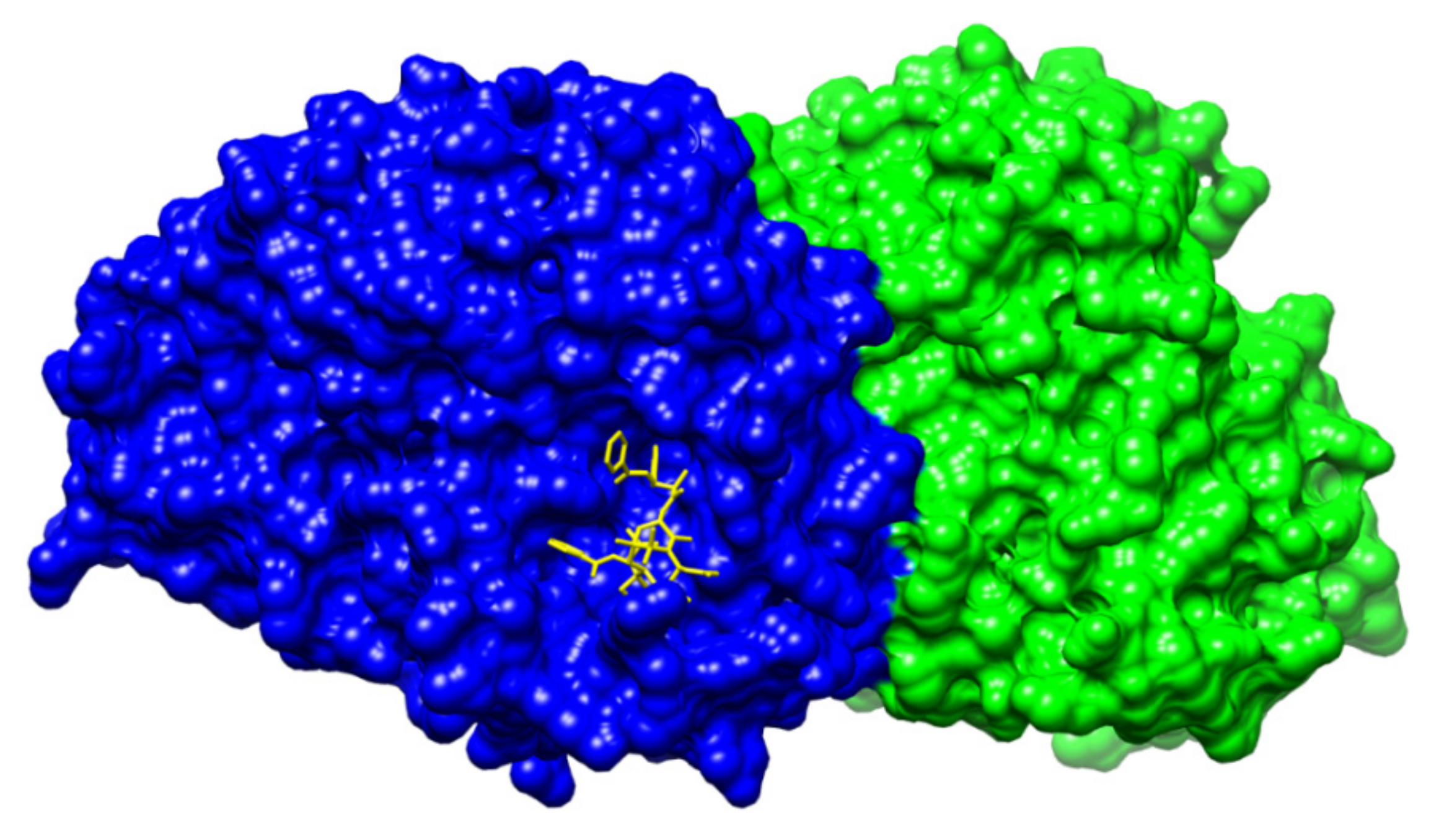 Plants 10 00569 g007