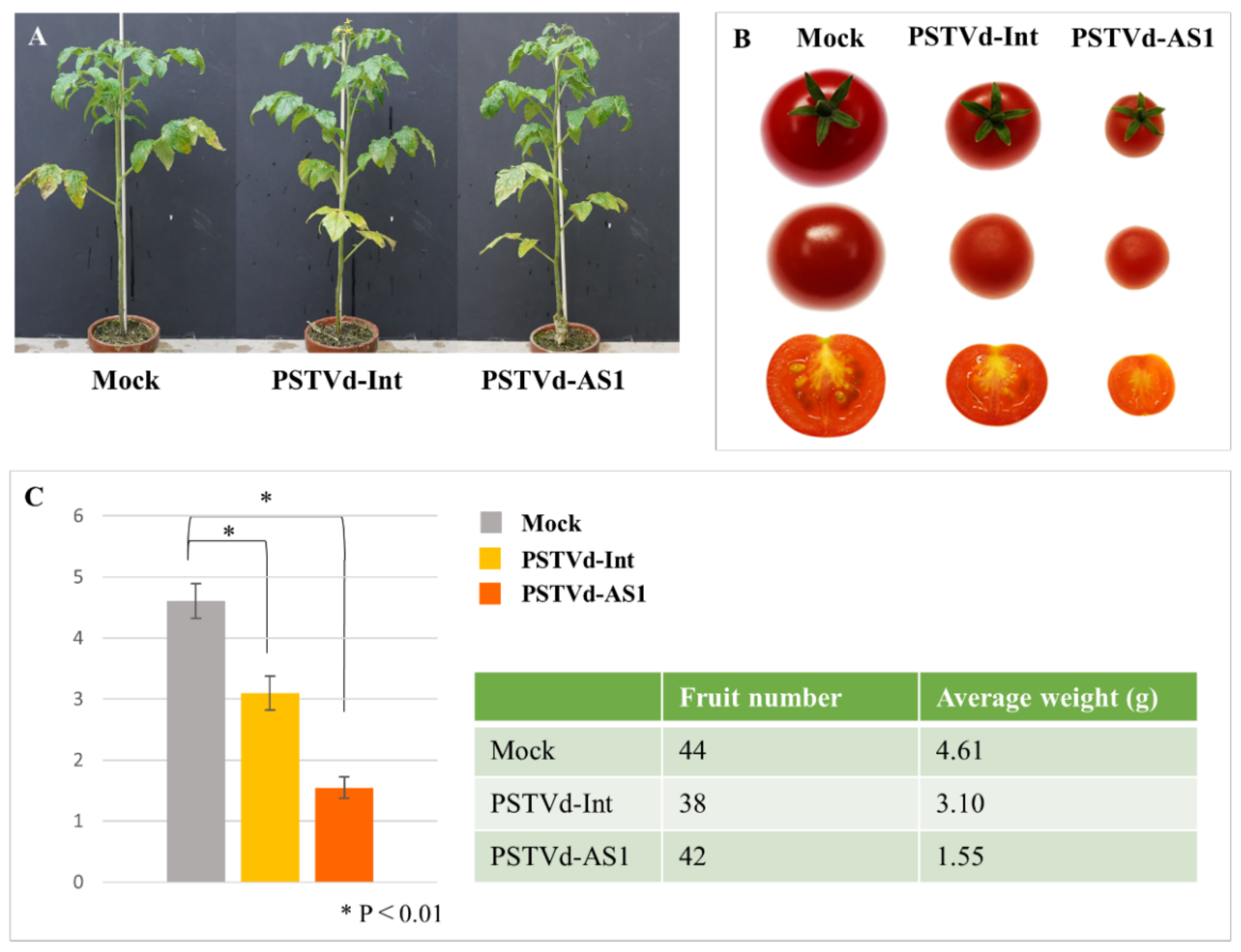 Plants 10 00575 g002