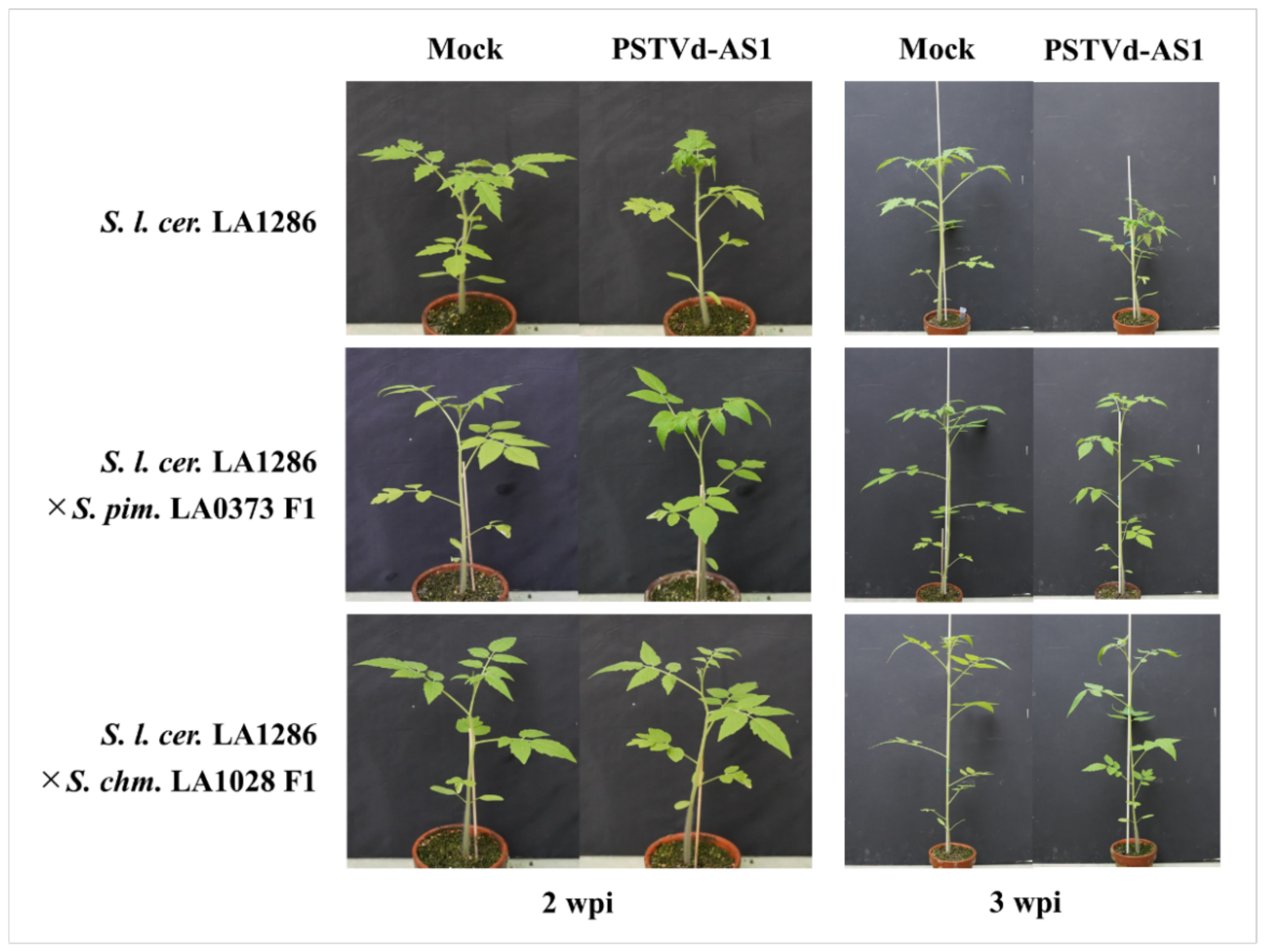 Plants 10 00575 g007