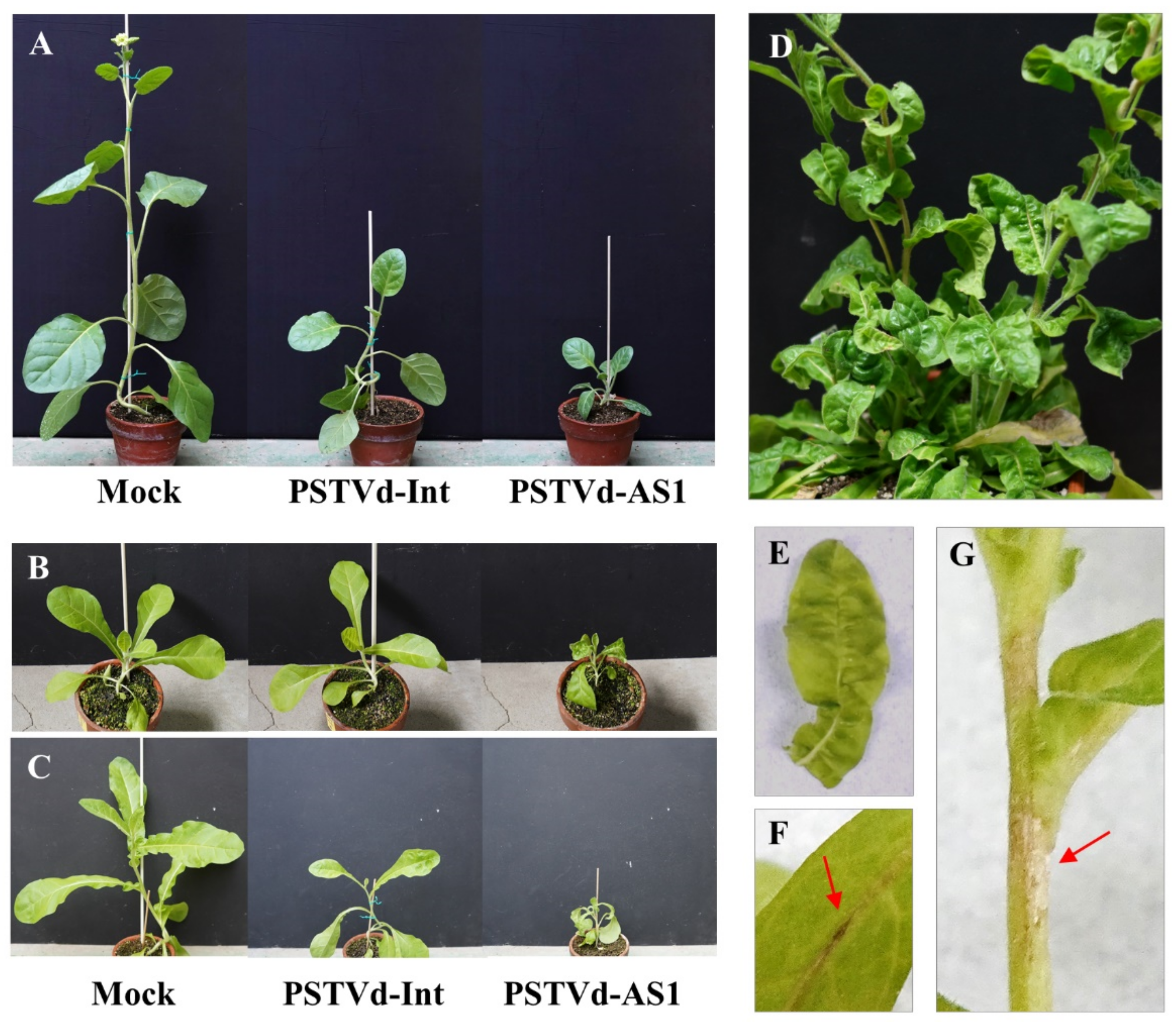 Plants 10 00575 g009