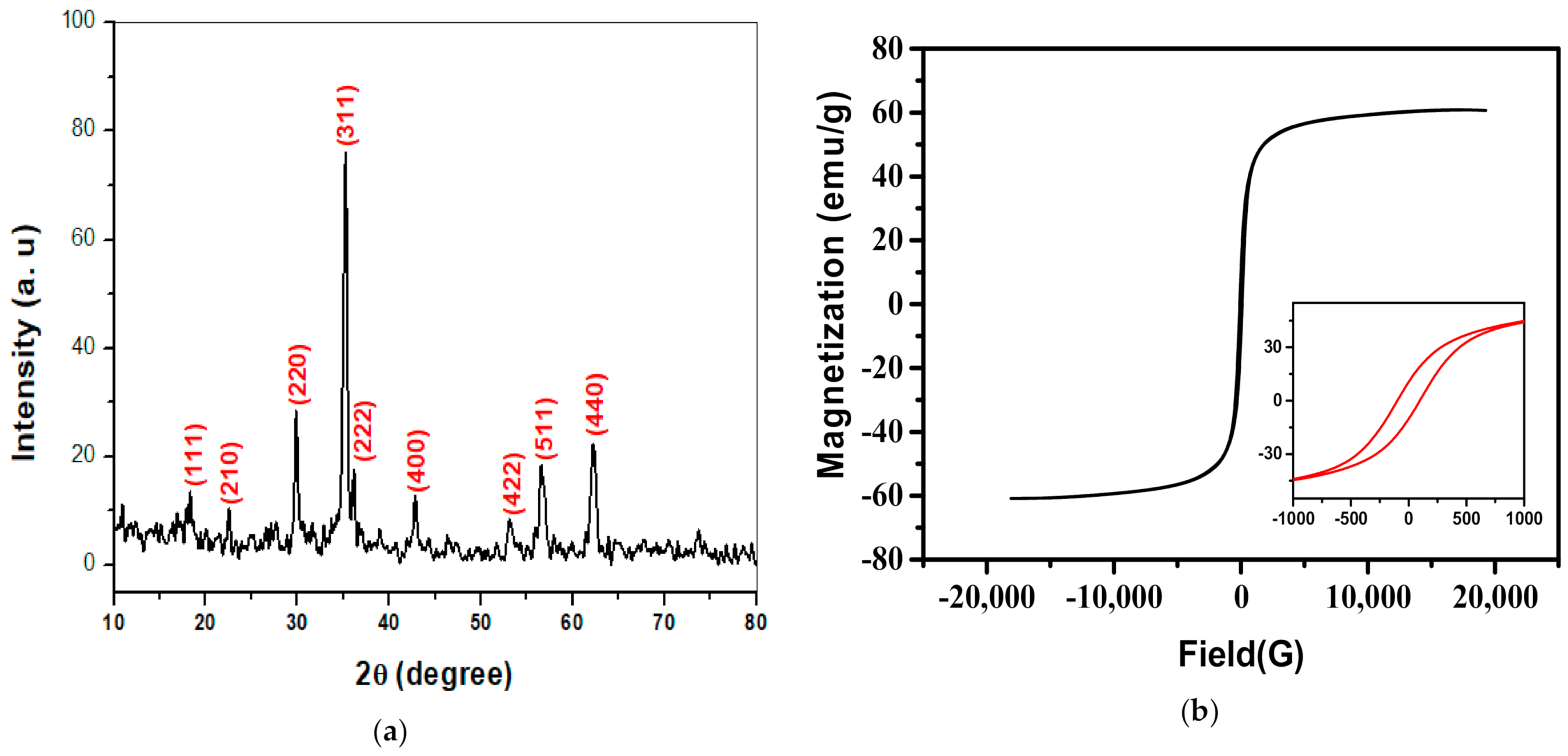 Plants 10 00583 g001