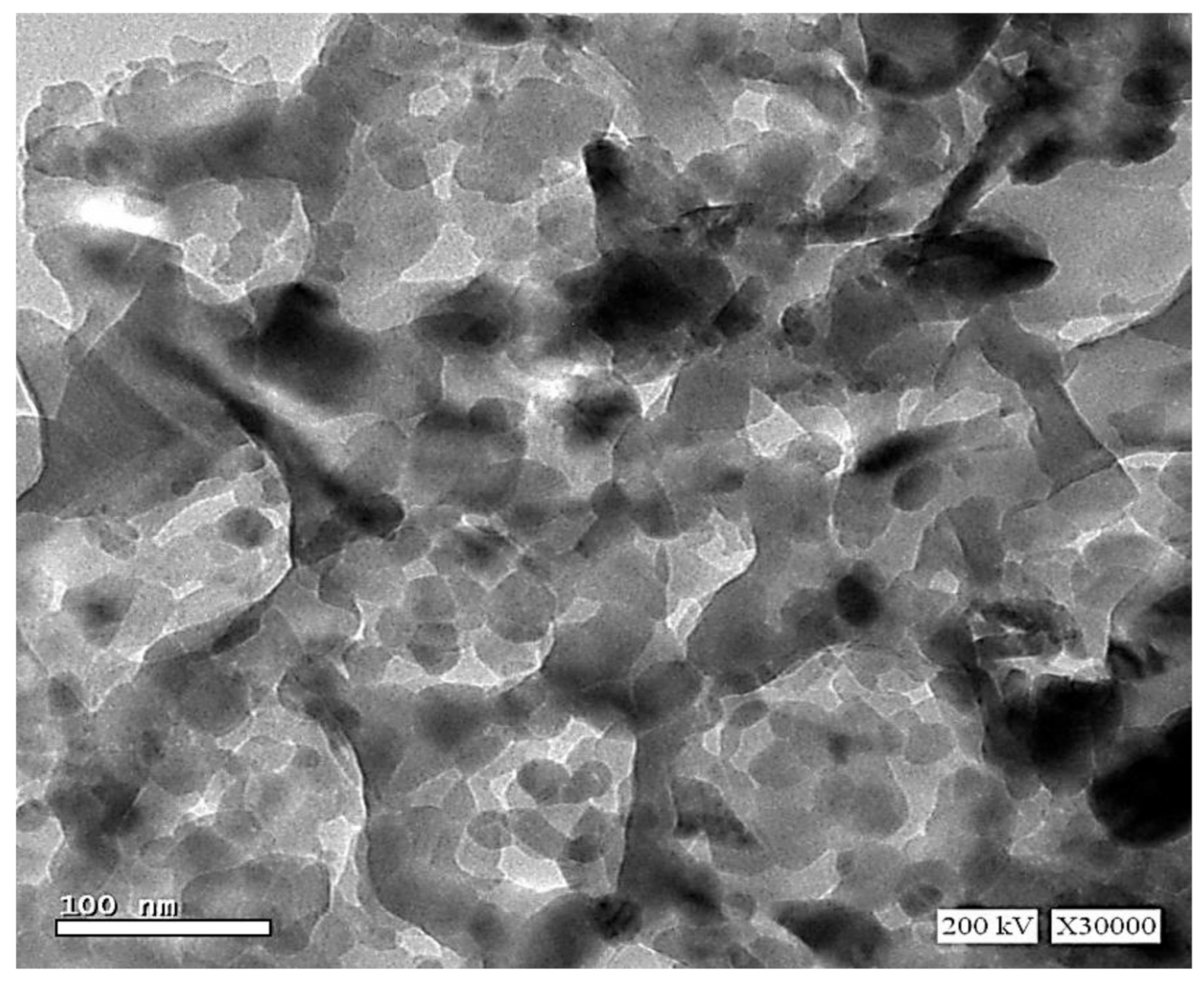 Plants 10 00583 g002