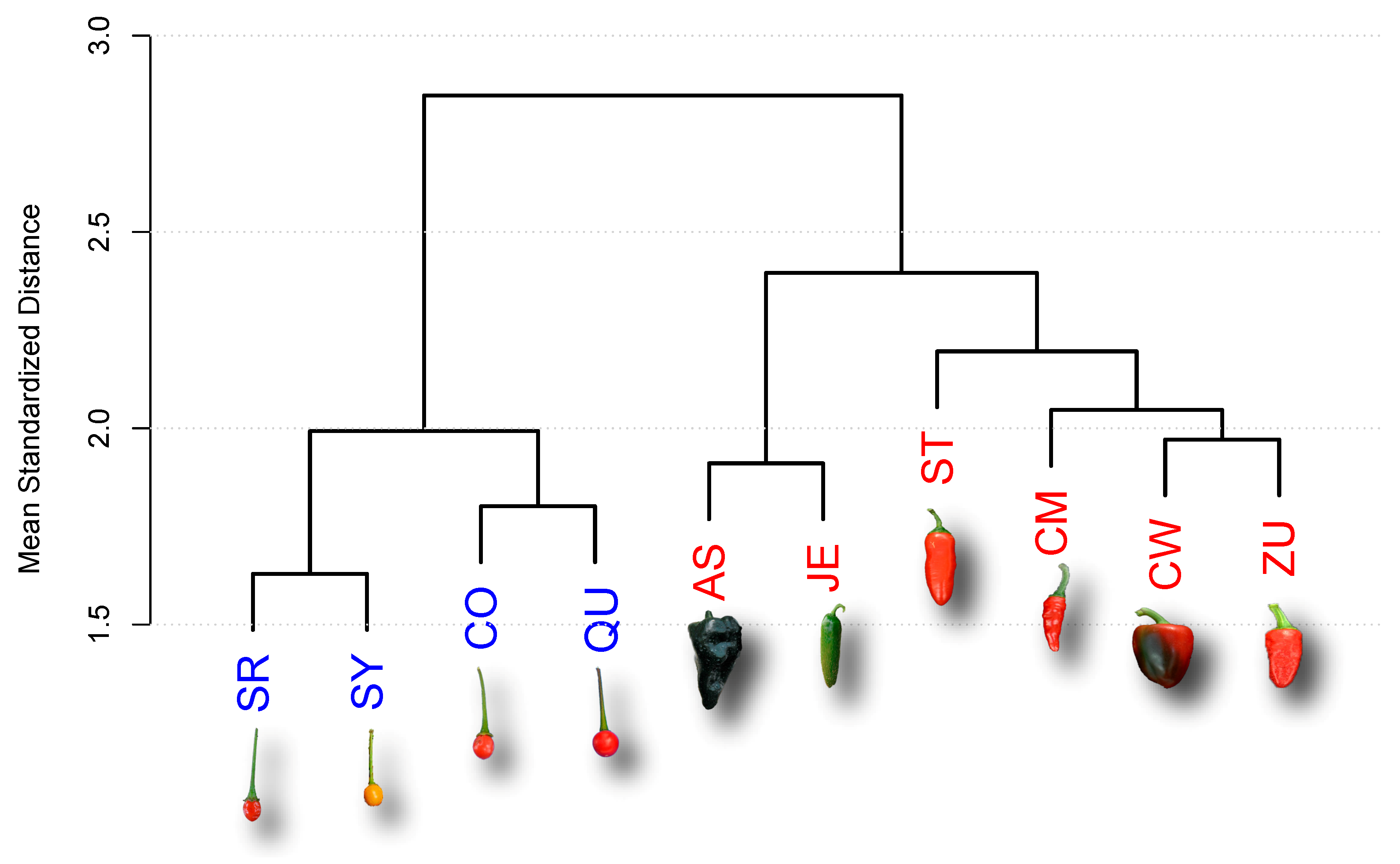 Plants 10 00585 g001