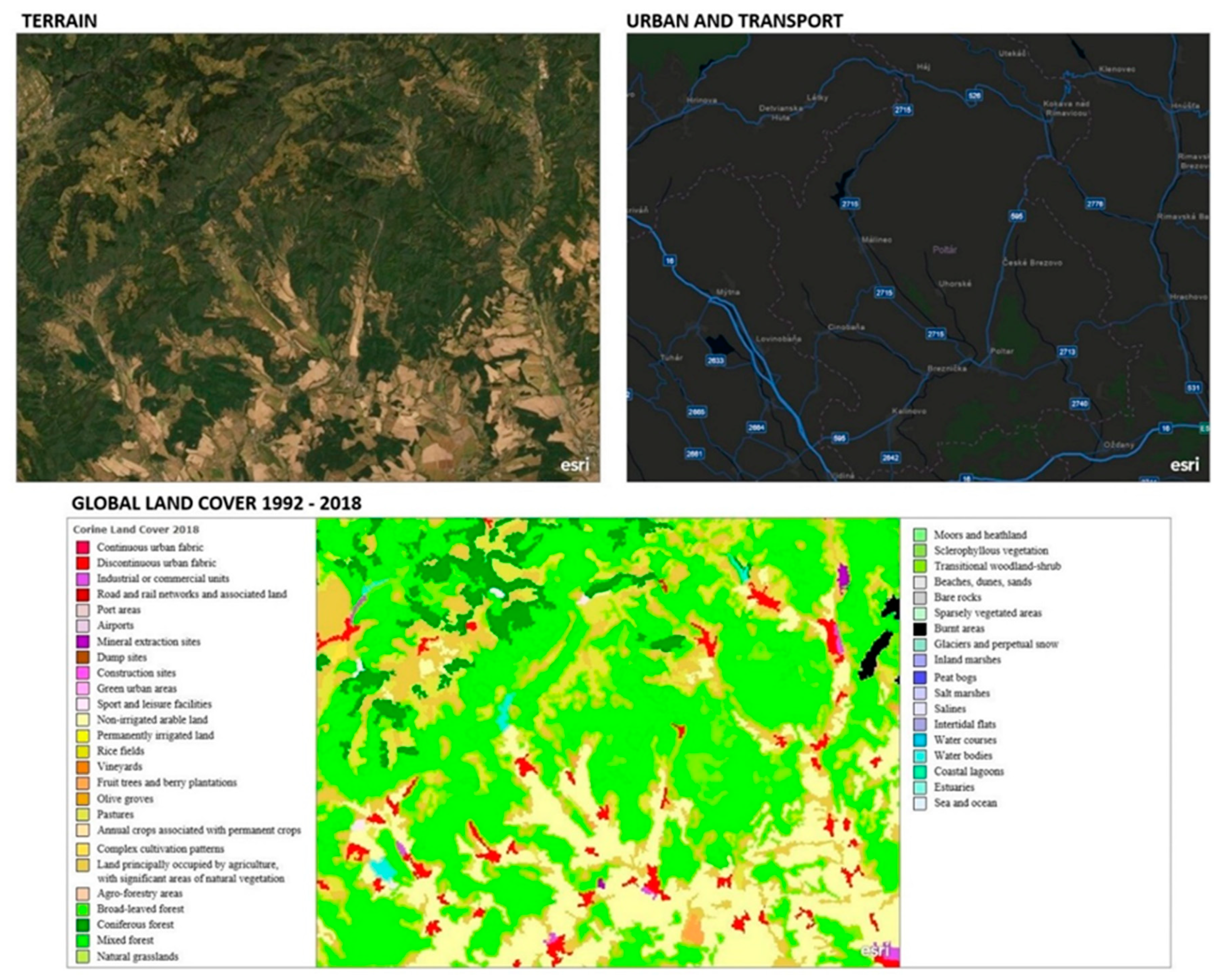 Plants 10 00588 g002