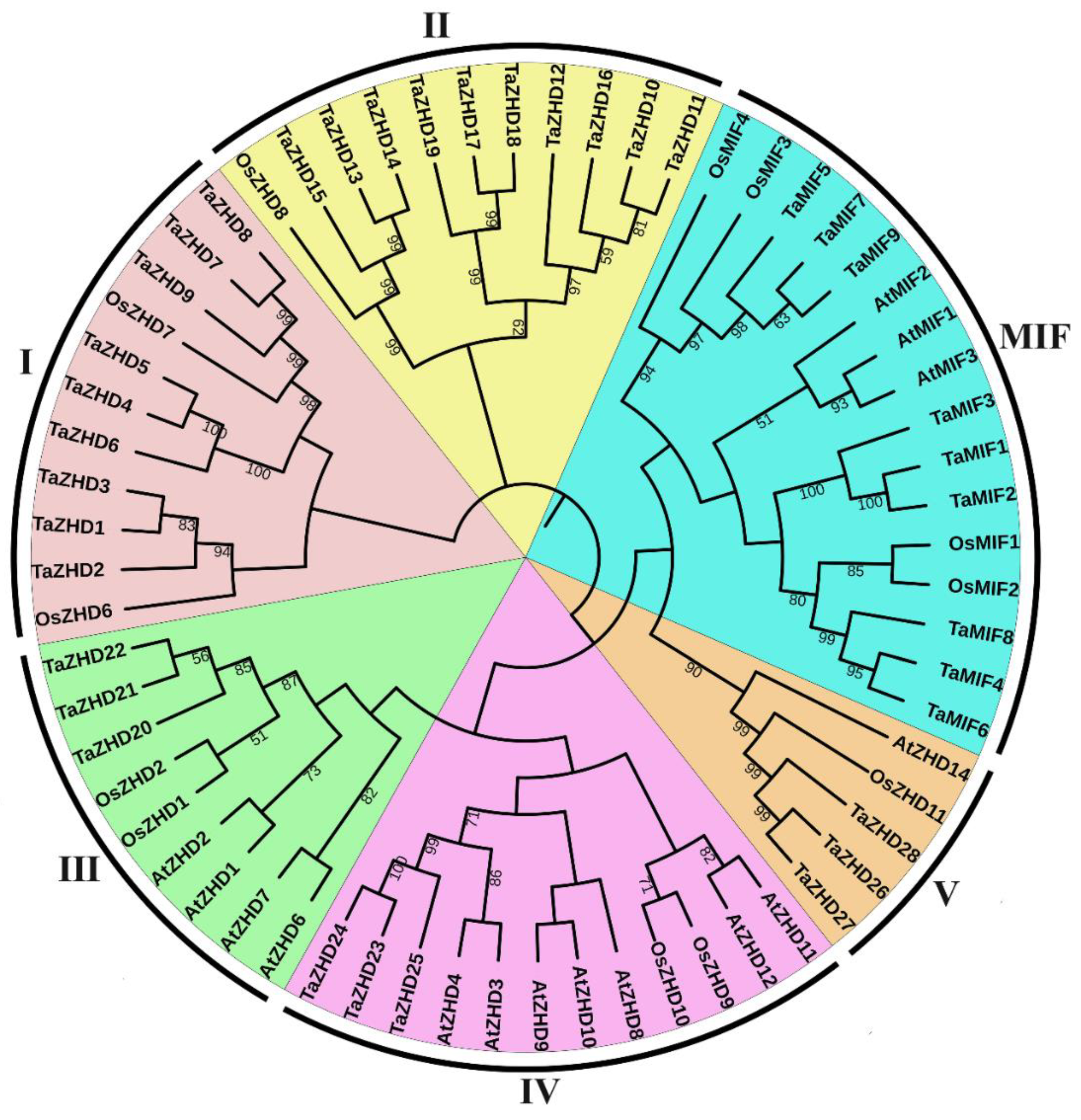 Plants 10 00593 g001