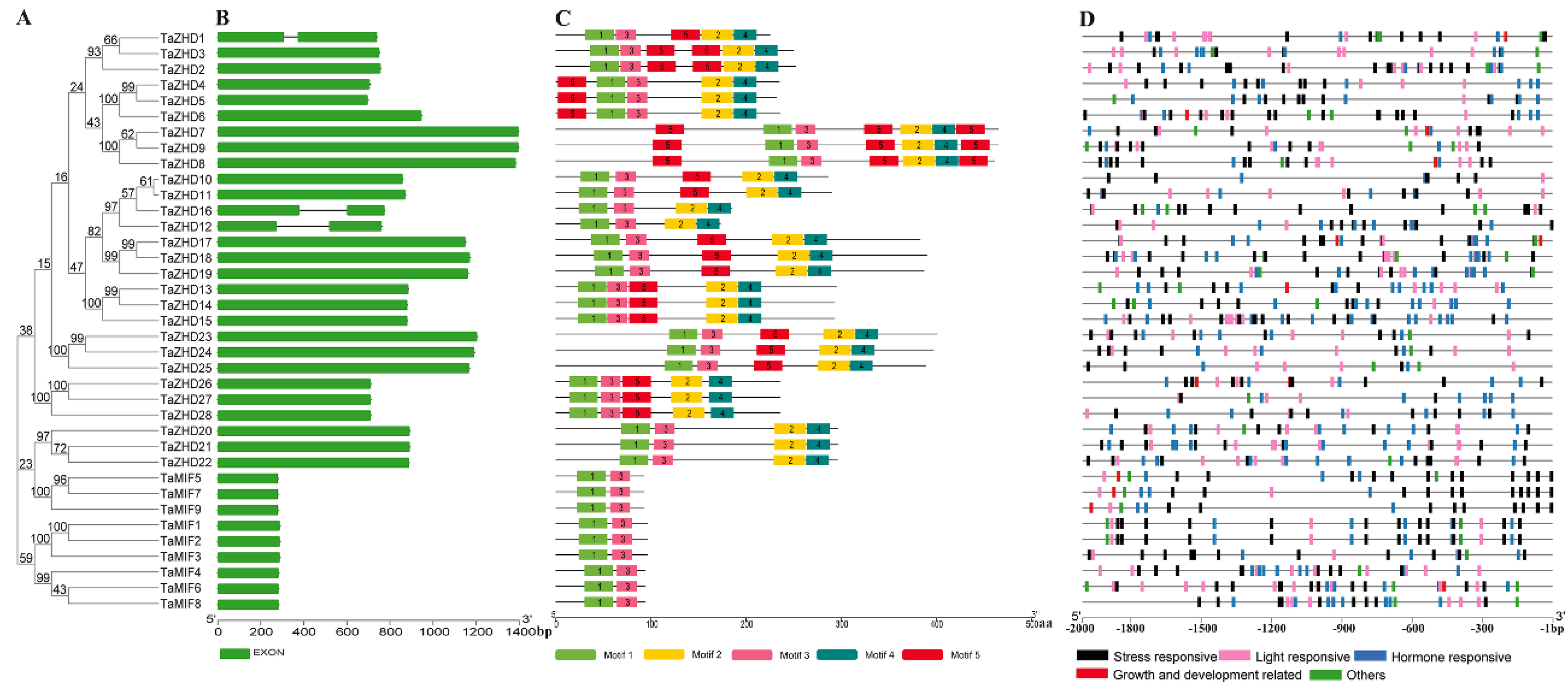Plants 10 00593 g002