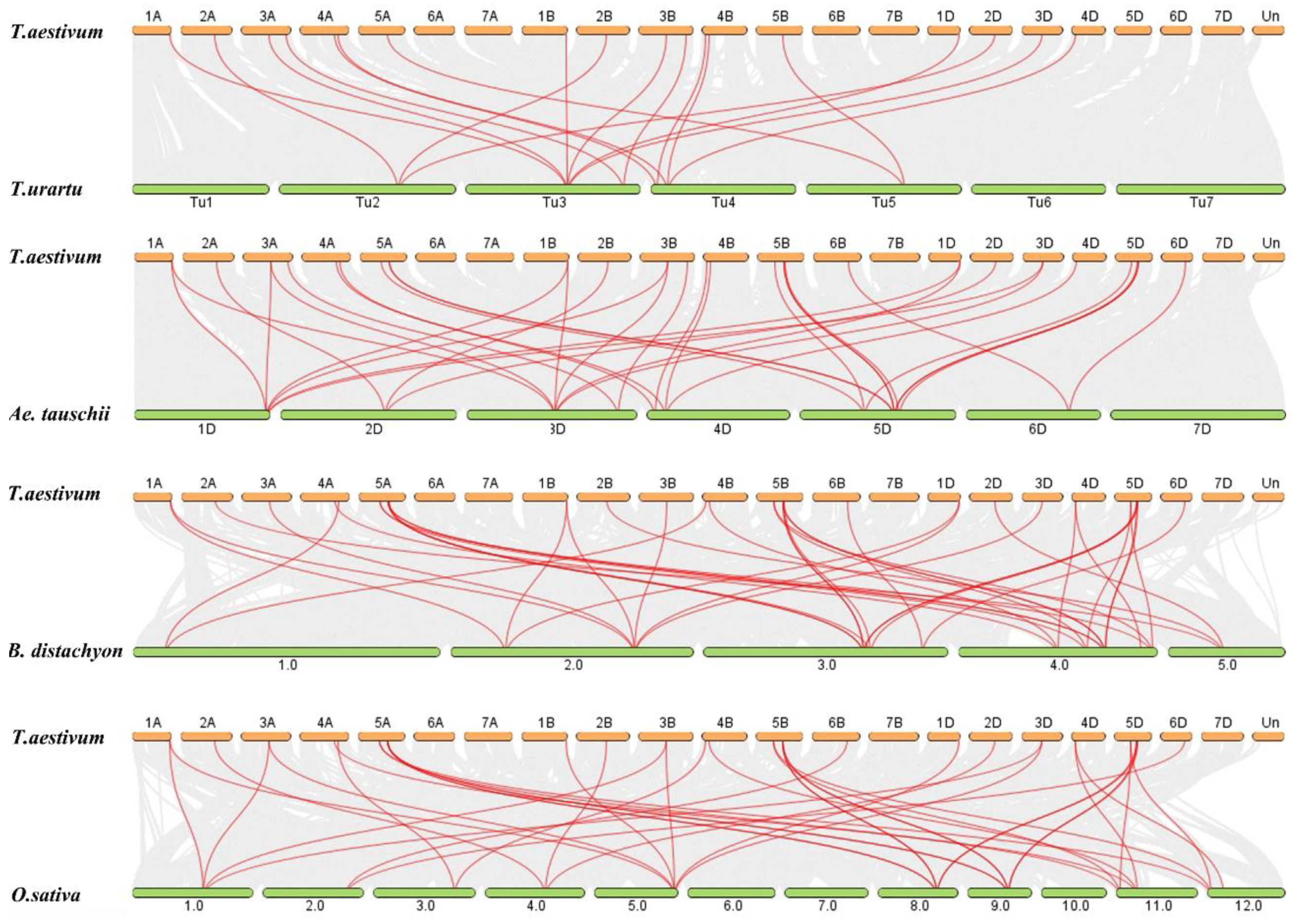 Plants 10 00593 g005