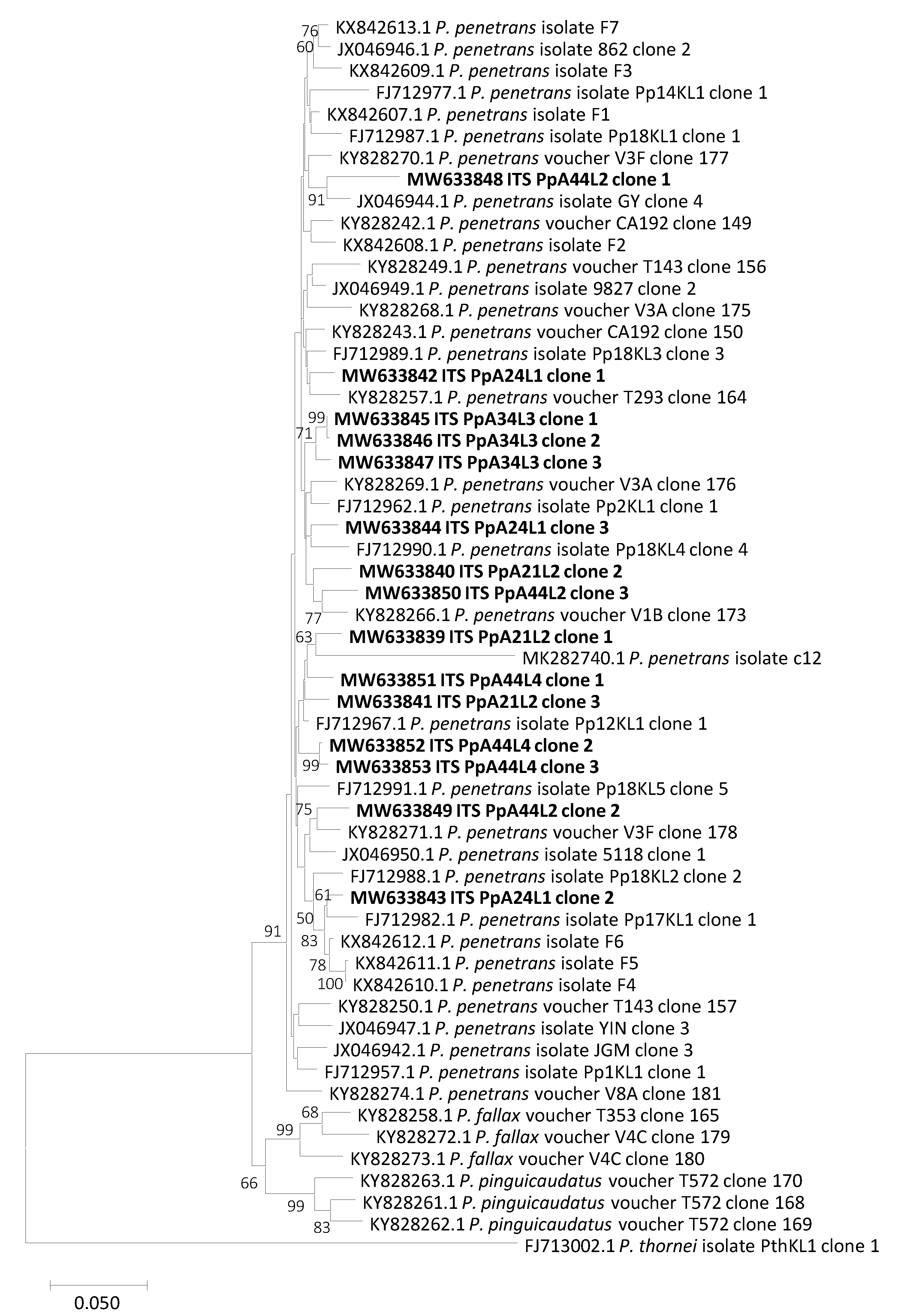 Plants 10 00603 g002