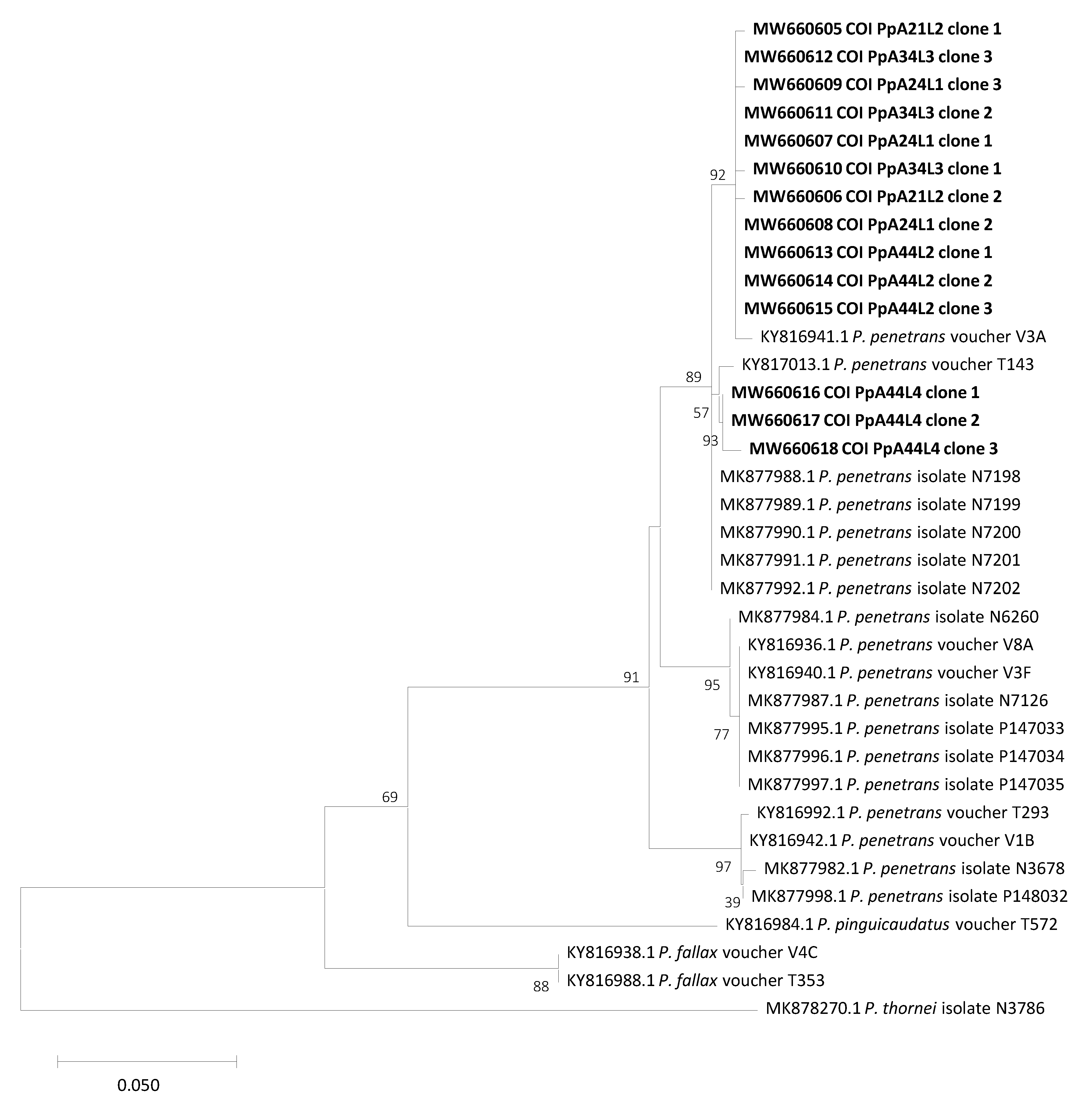 Plants 10 00603 g003