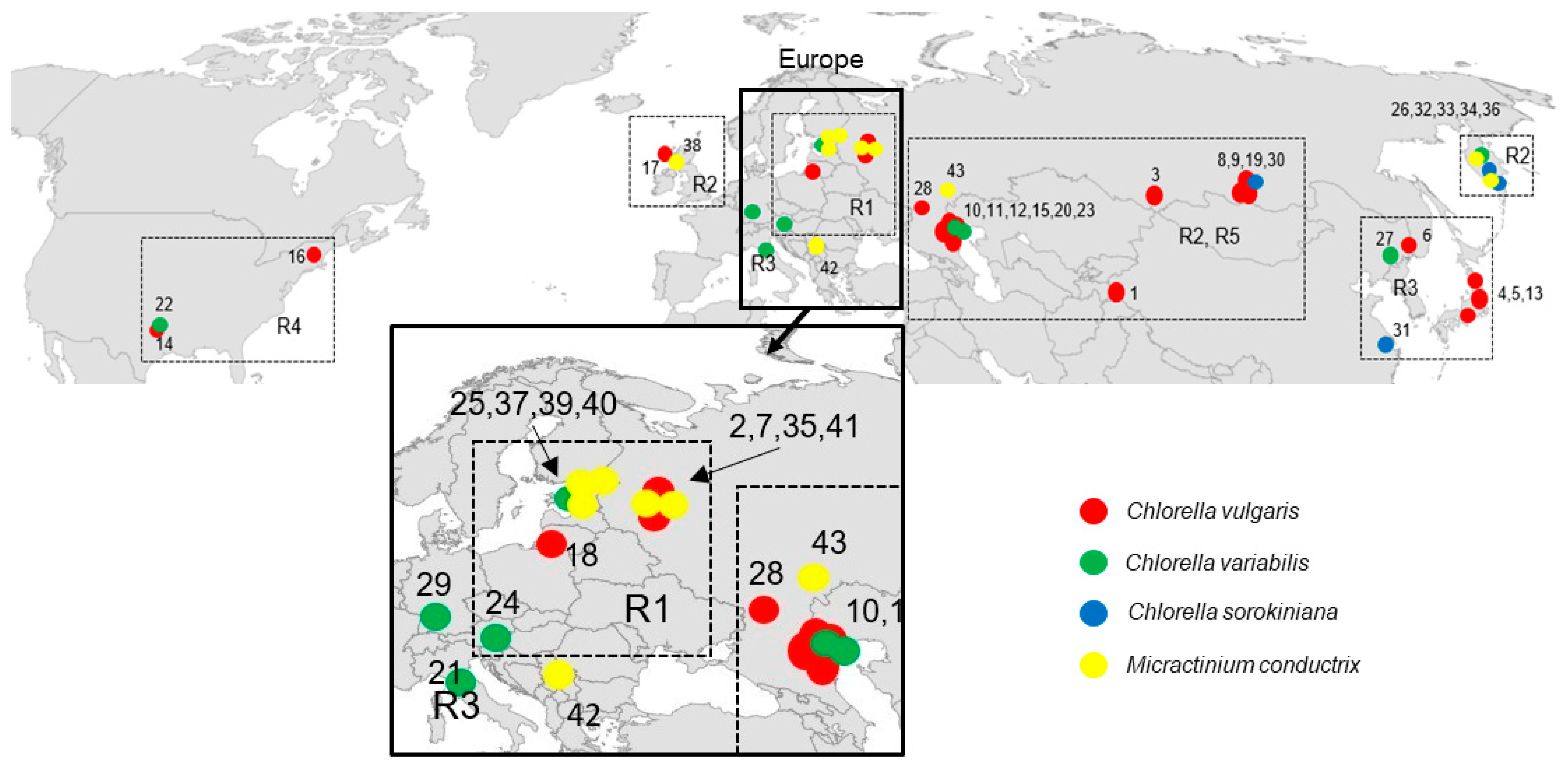 Plants 10 00609 g001