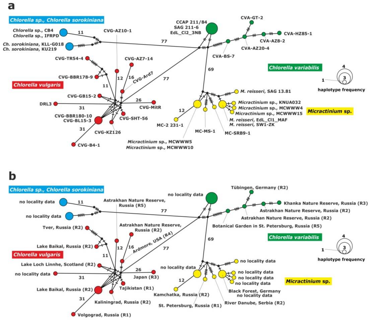 Plants 10 00609 g002