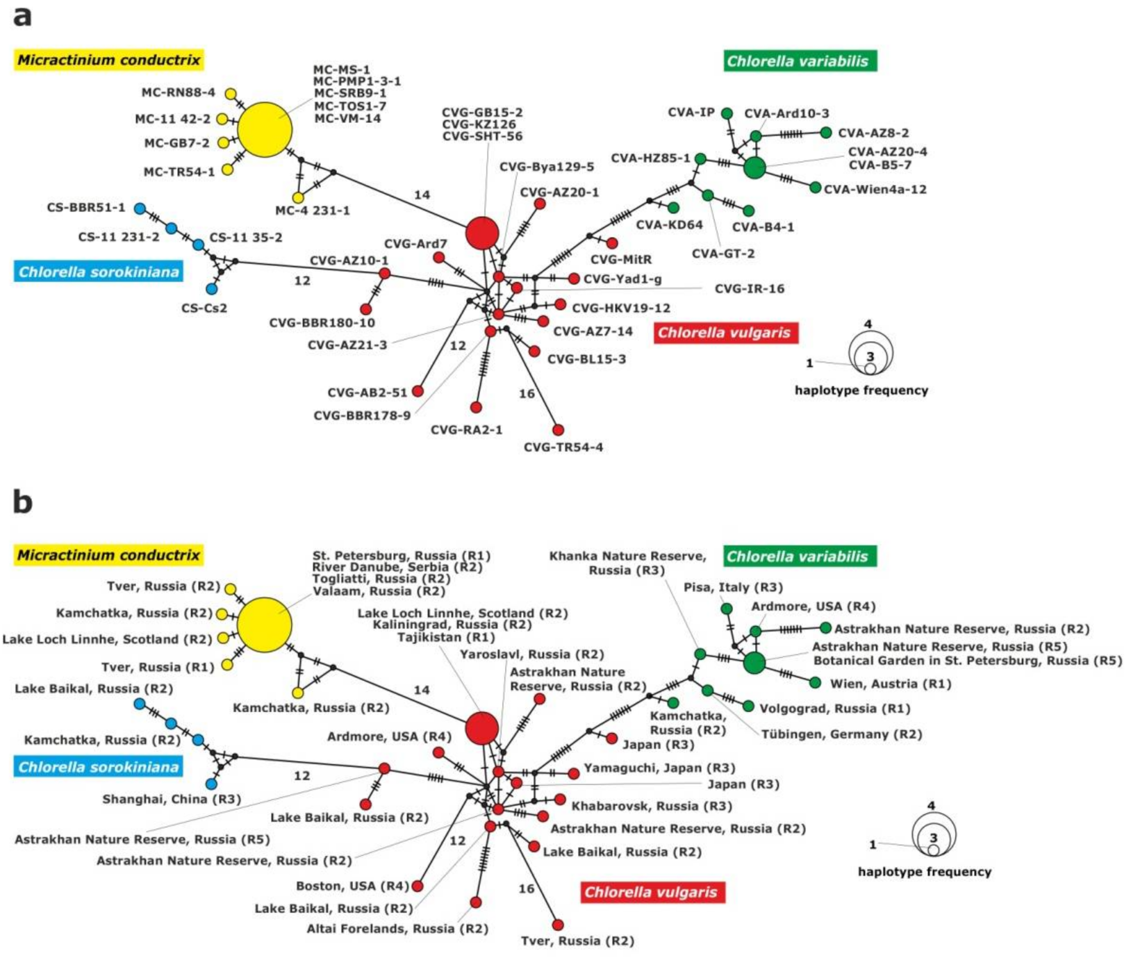 Plants 10 00609 g004