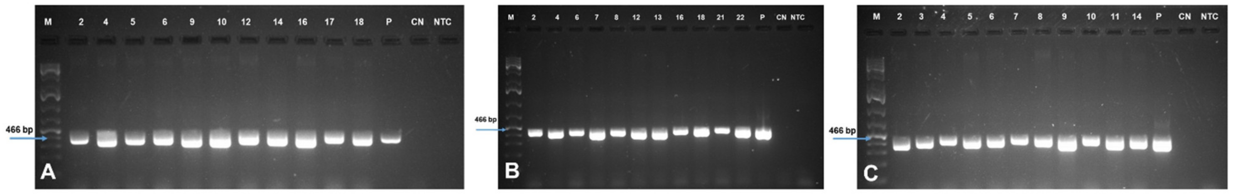 Plants 10 00613 g004