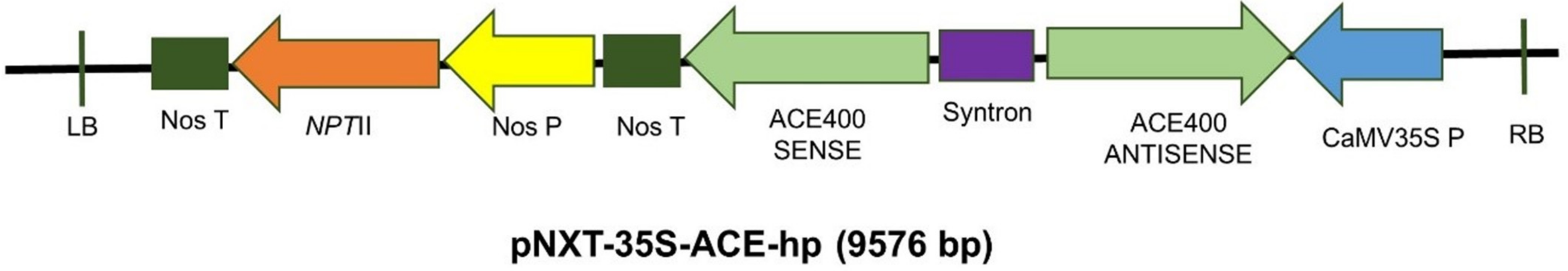 Plants 10 00613 g009