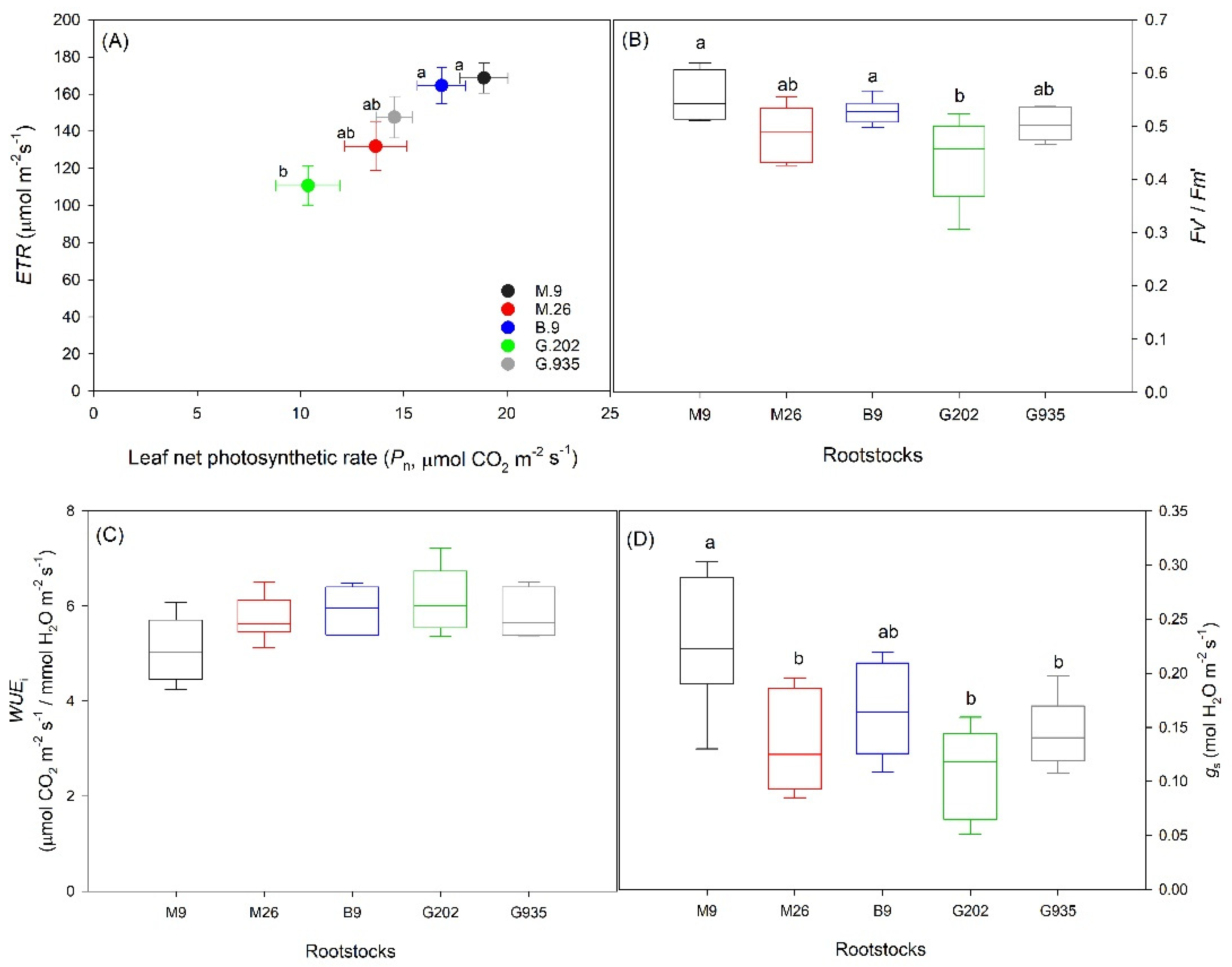 Plants 10 00614 g007