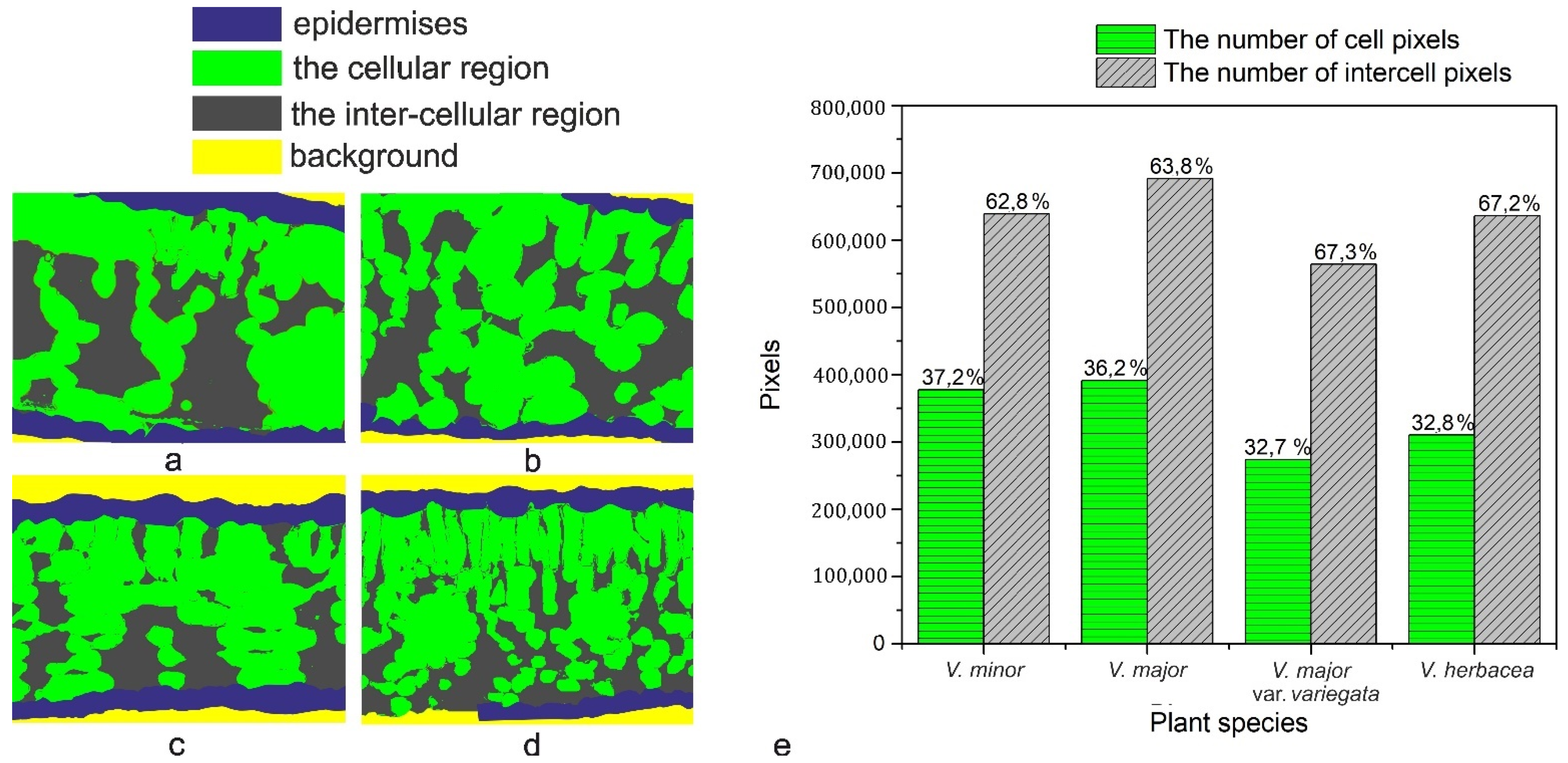 Plants 10 00622 g006