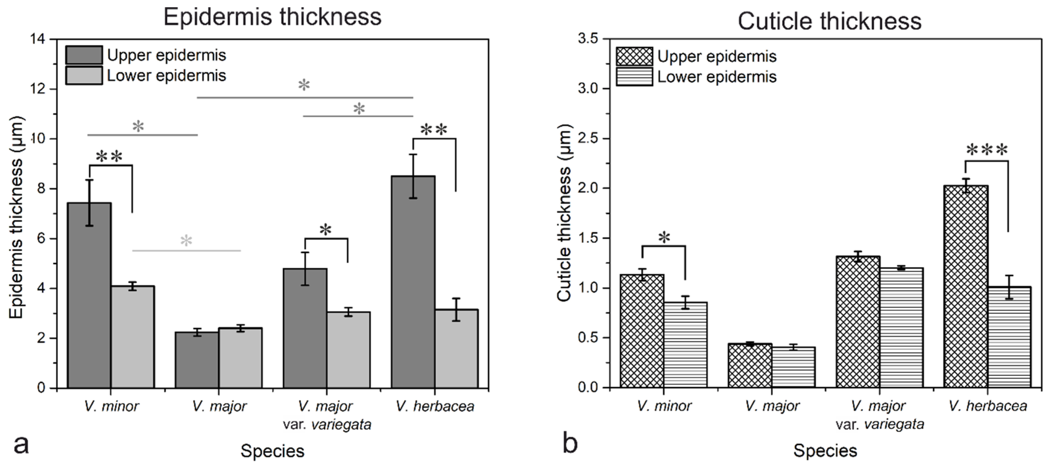 Plants 10 00622 g008
