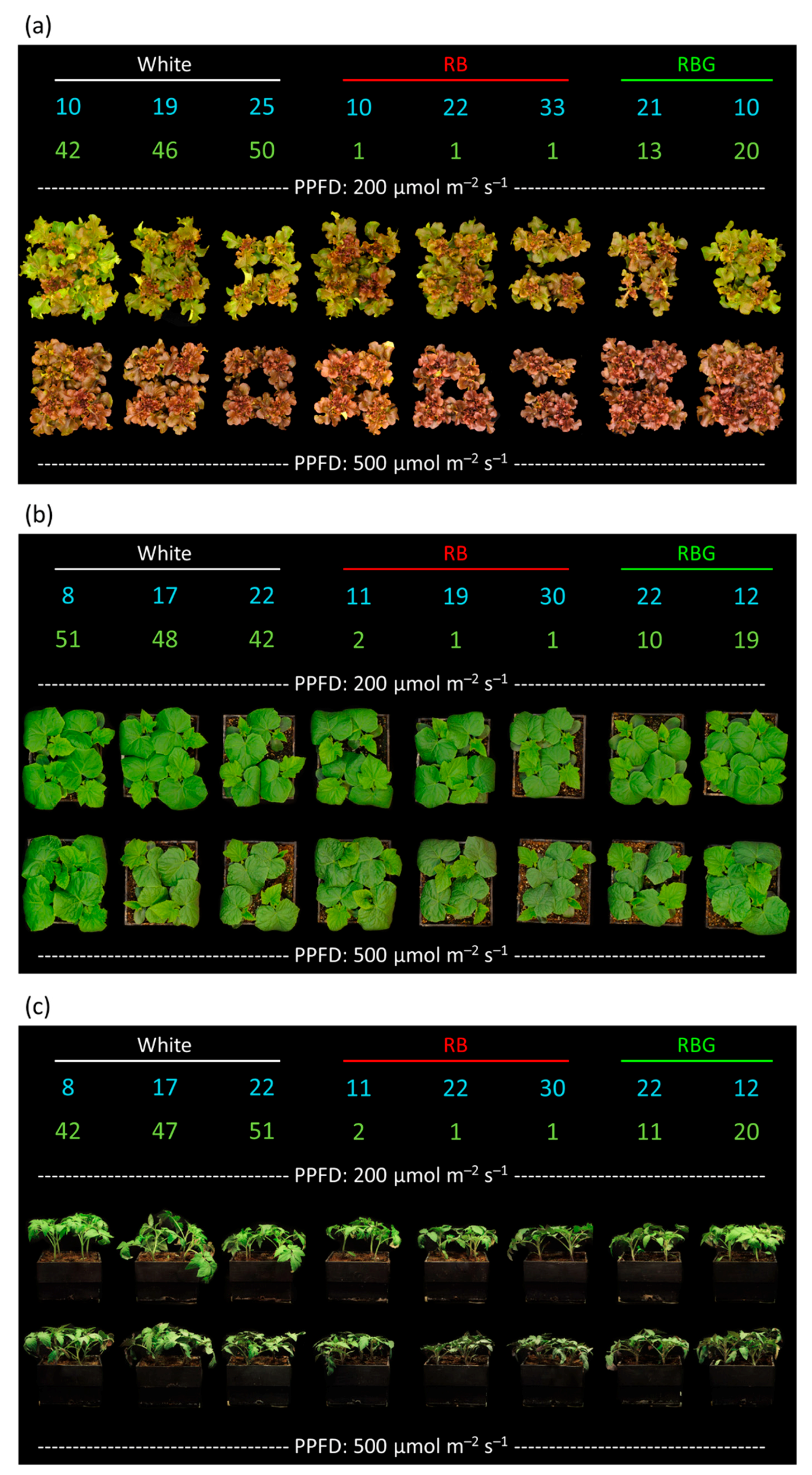 Plants 10 00637 g002