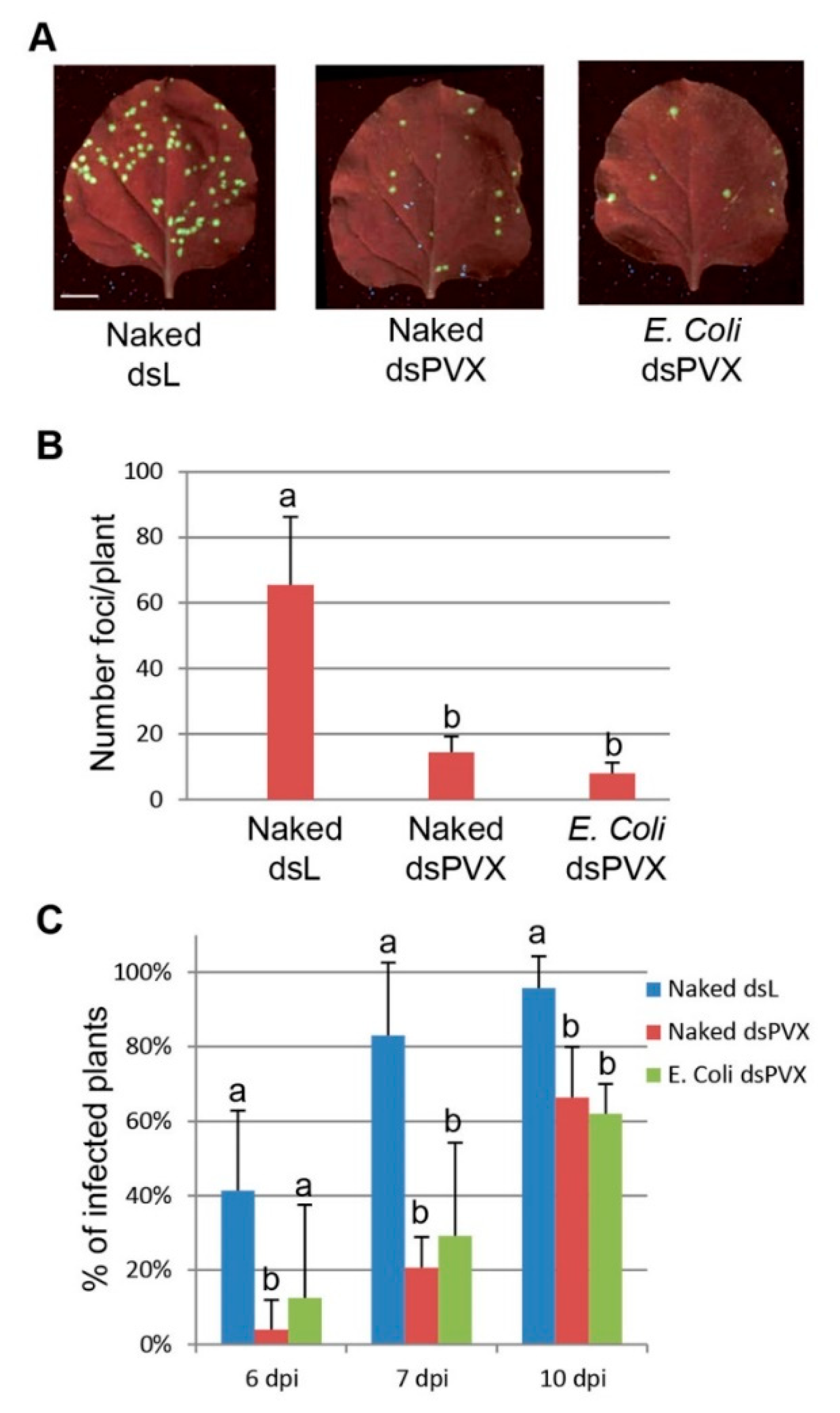 Plants 10 00644 g003 Plants 10 00644 g003