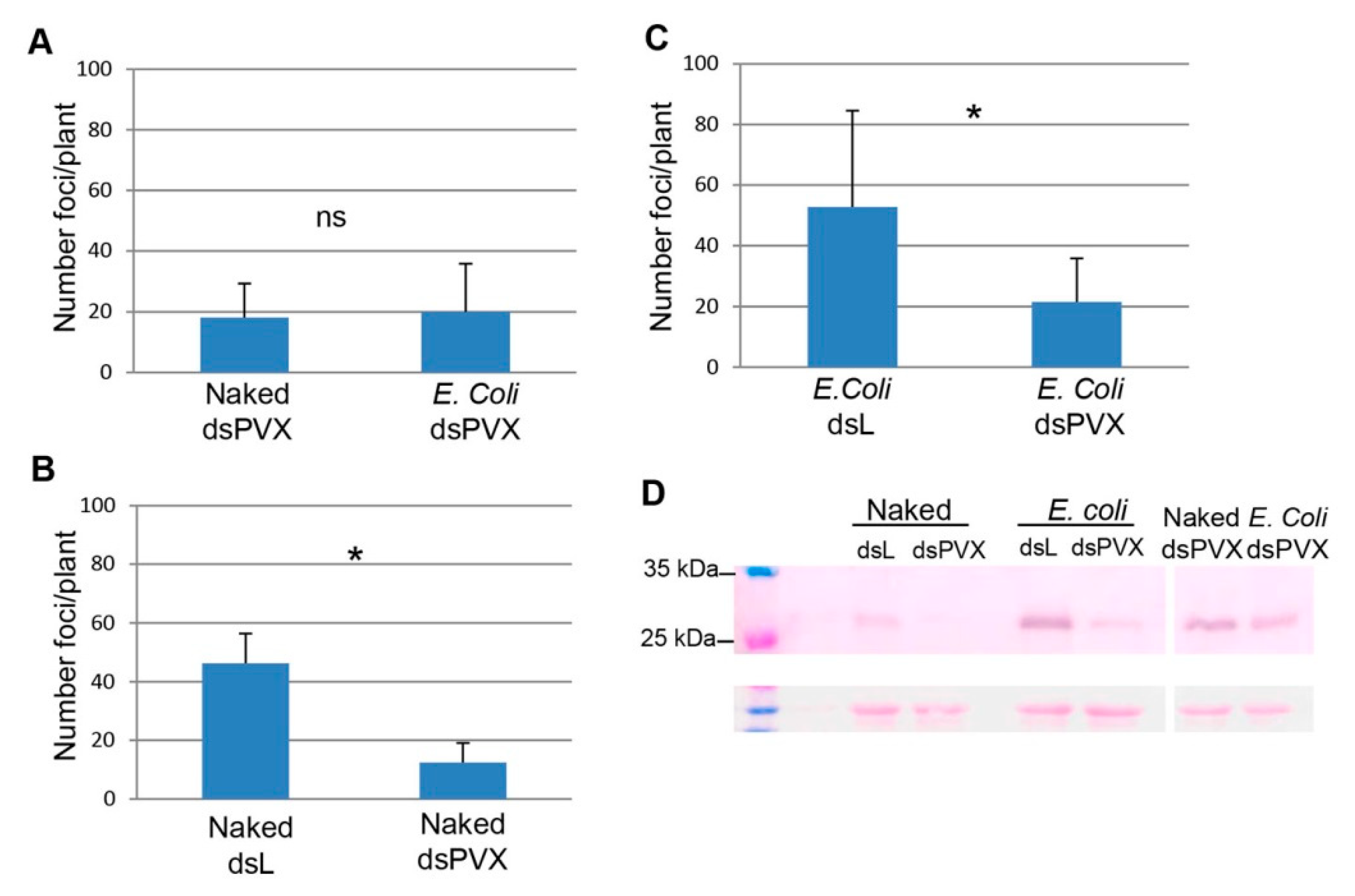 Plants 10 00644 g004 Plants 10 00644 g004