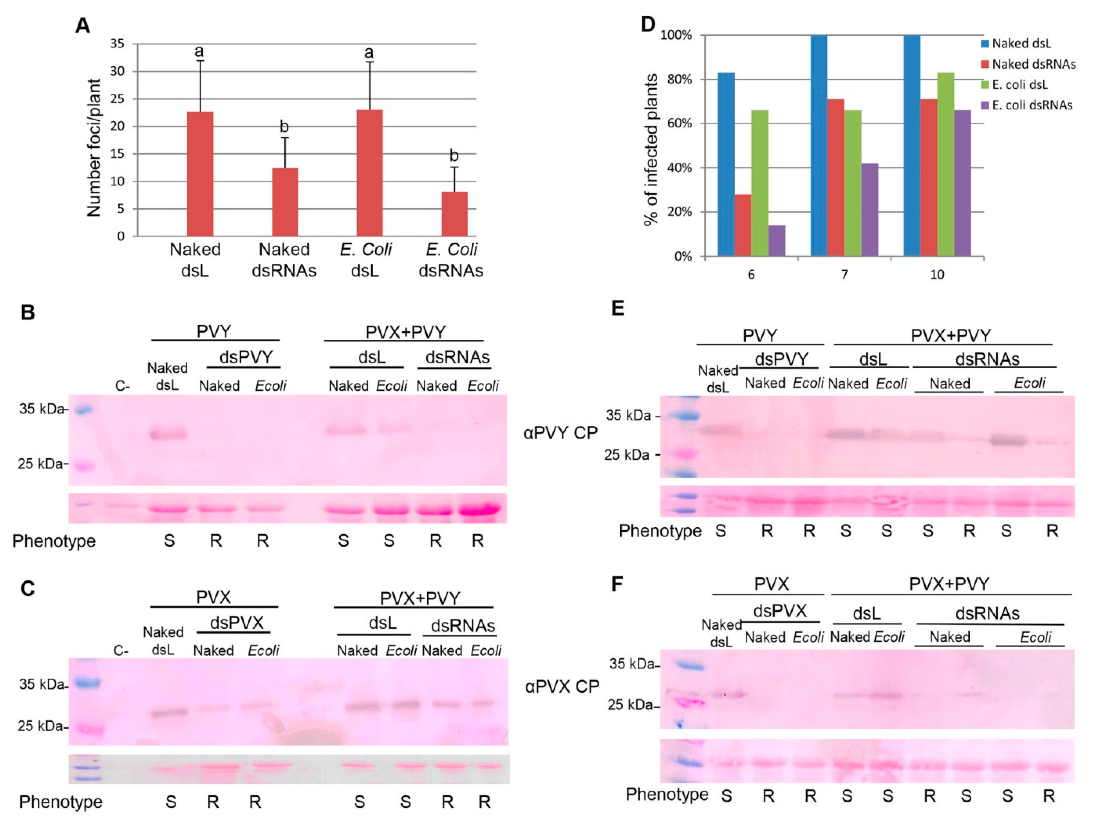 Plants 10 00644 g005 Plants 10 00644 g005