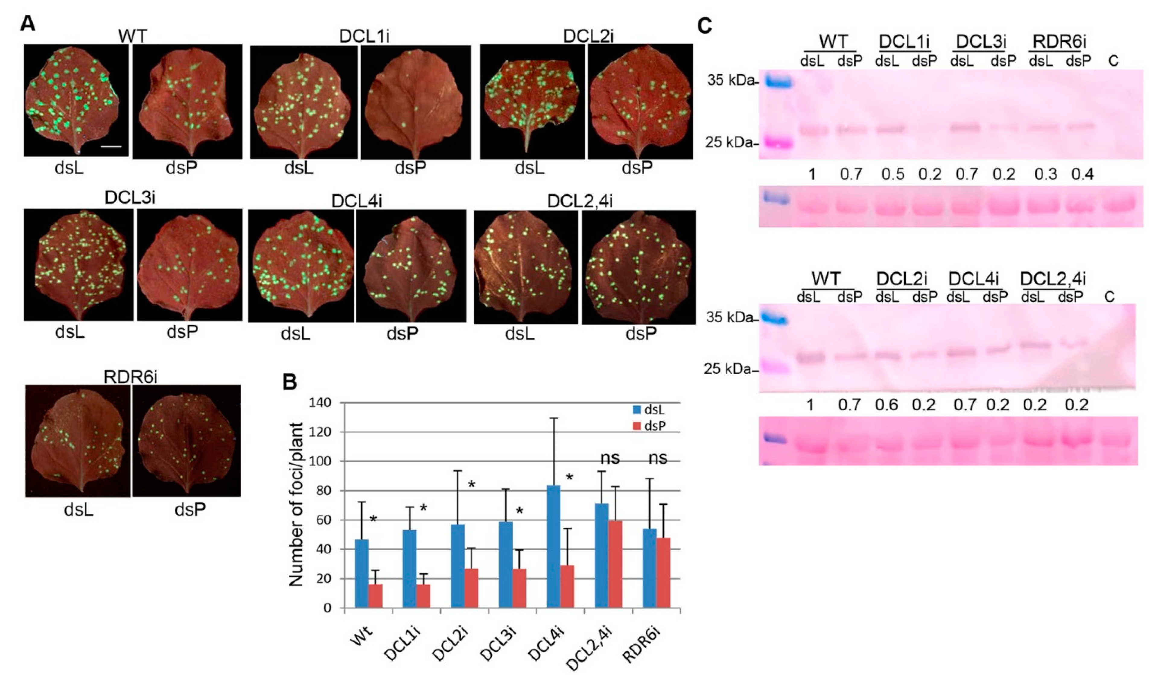 Plants 10 00644 g006 Plants 10 00644 g006