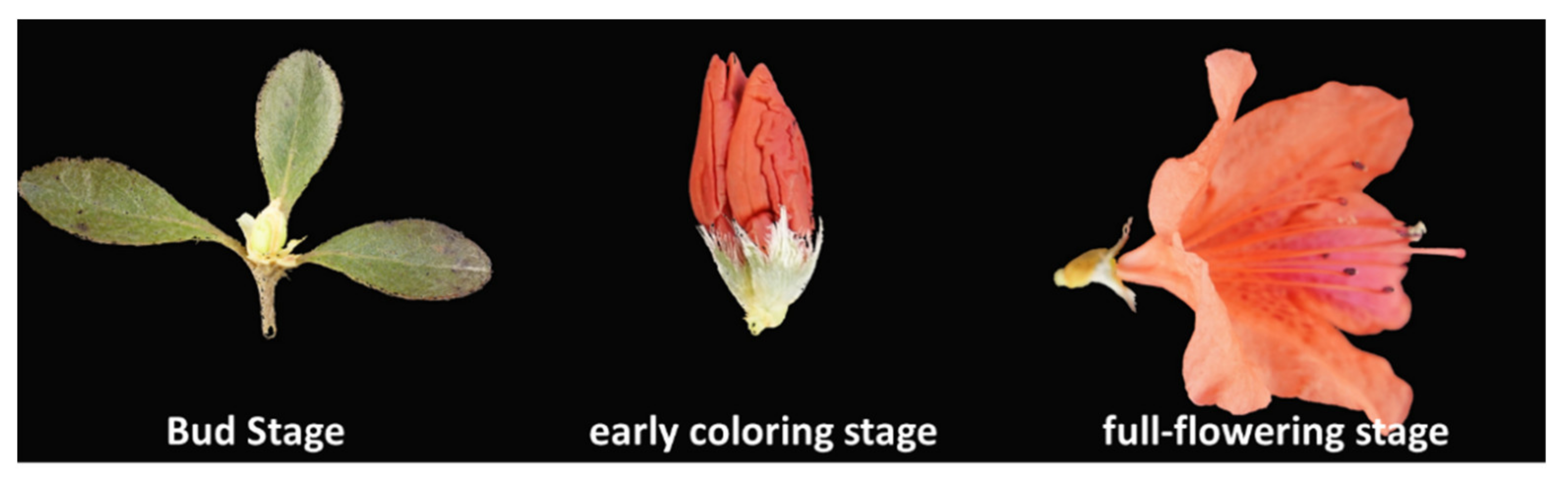 Plants 10 00649 g001 Plants 10 00649 g001