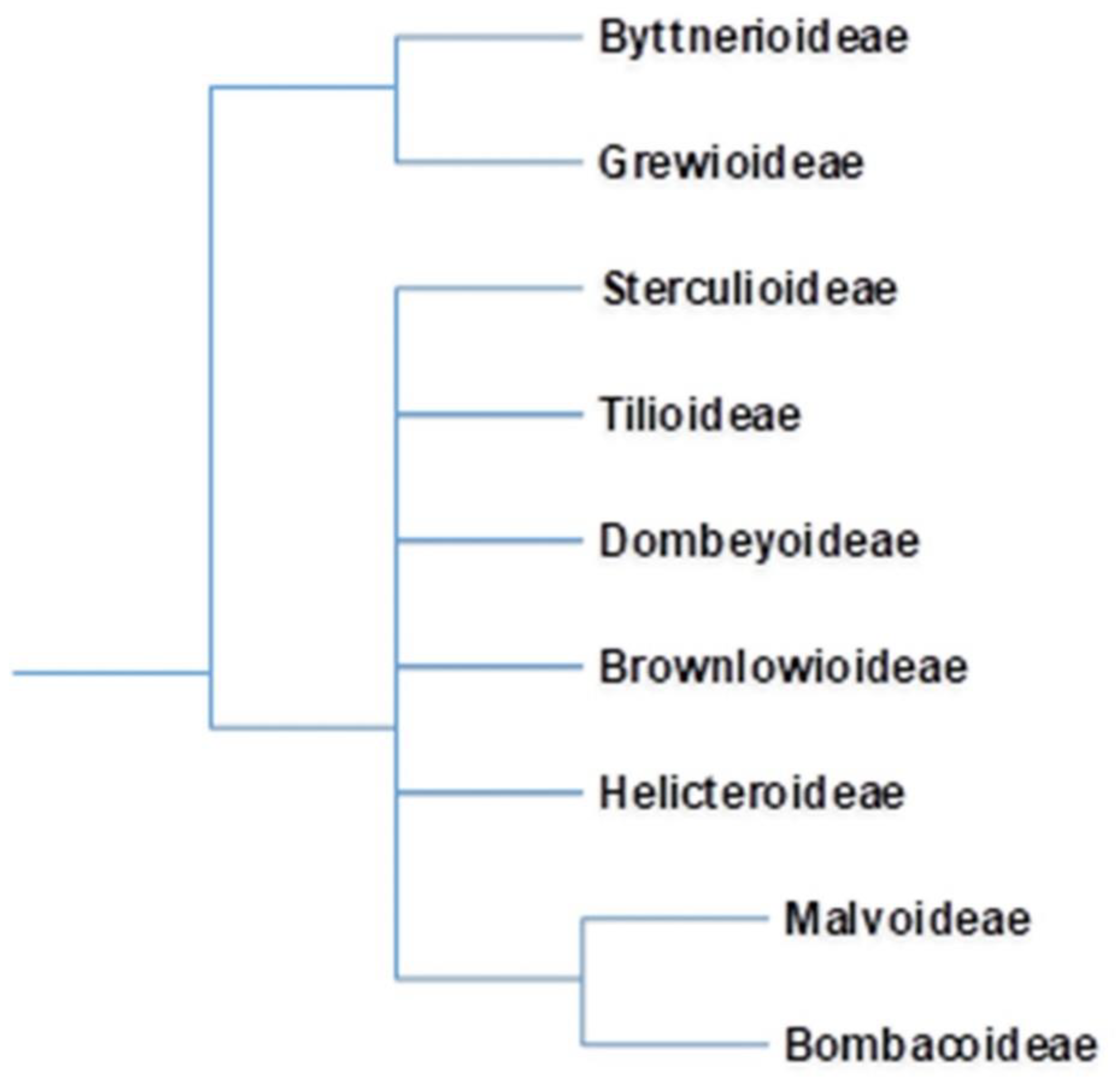 Plants 10 00651 g001 Plants 10 00651 g001