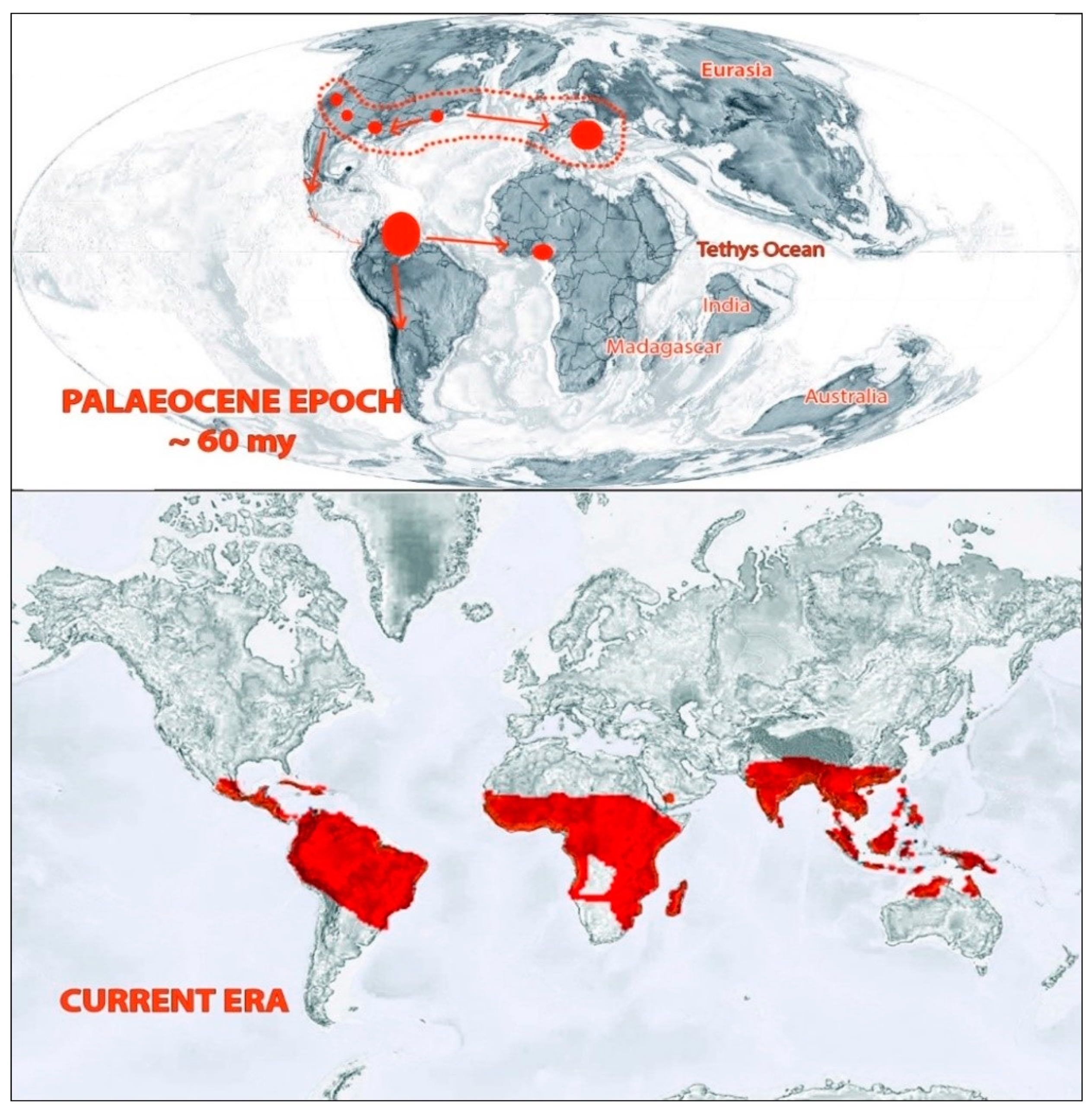 Plants 10 00651 g003 Plants 10 00651 g003